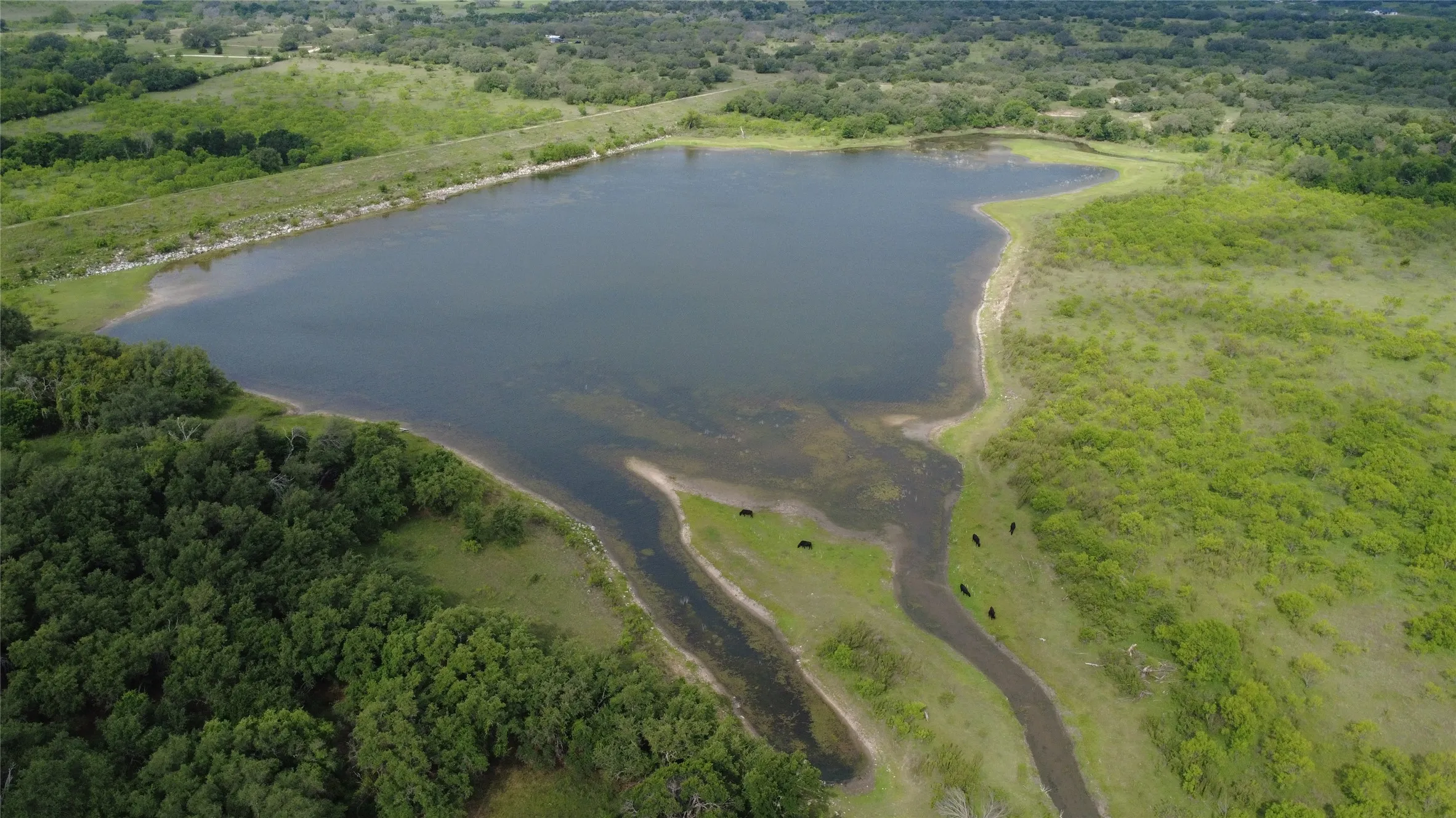 Ranch For Sale in Mills County , 360 County Road 199, Mullin, Texas 76864, 0, 0, Garage spaces, 0 Sqft, built in 0, mls#21198666, Real Estate Agent in Mullin, Homes For Sale in Mills county, Homes For Sale in Mullin, Realtor in Mullin Texas, Real Estate Brokerage Independent Realty Texas, Luminita Cordes Realtor