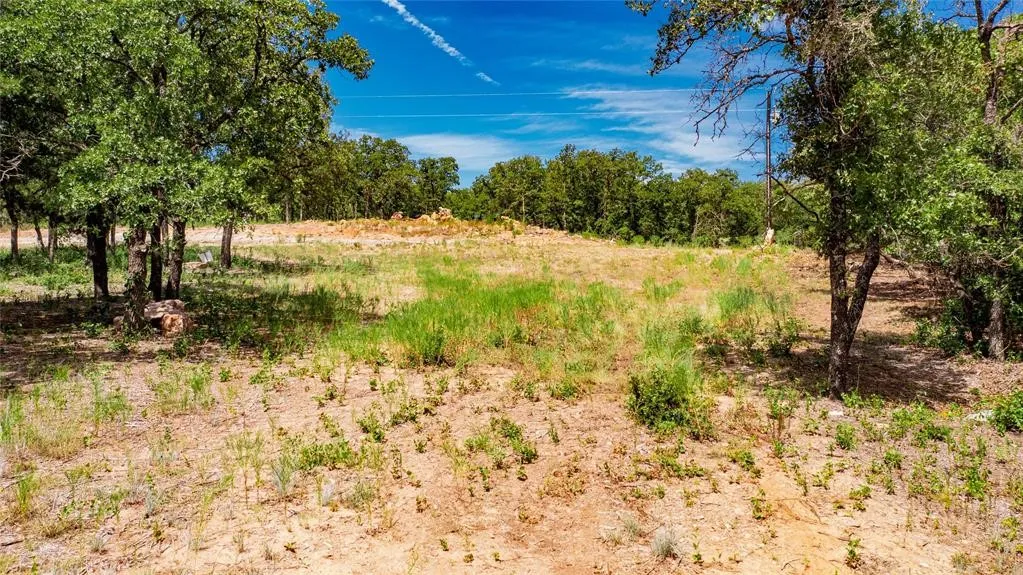 View of the 2-acre lot offering lots of trees and beautiful rolling terrain.
