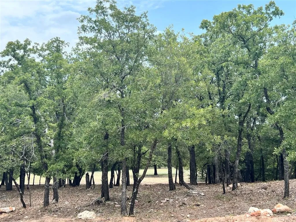 View of the 2-acre lot offering lots of trees and beautiful rolling terrain.