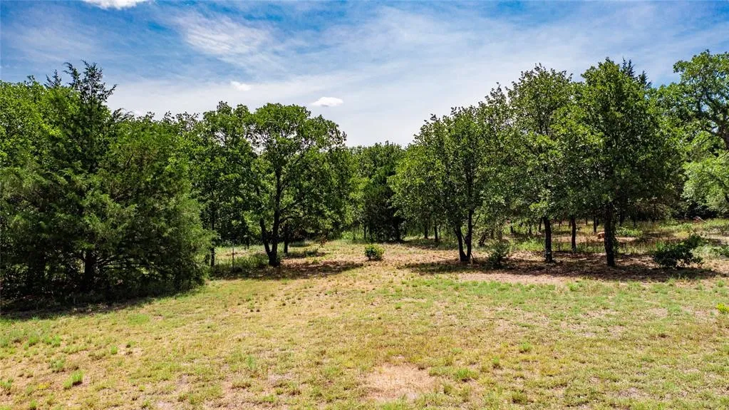View of the 2-acre lot offering lots of trees and beautiful rolling terrain.