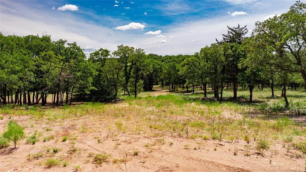 View of the 2-acre lot offering lots of trees and beautiful rolling terrain.
