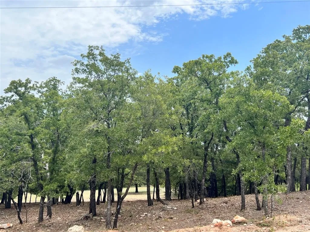 View of the 2-acre lot offering lots of trees and beautiful rolling terrain.