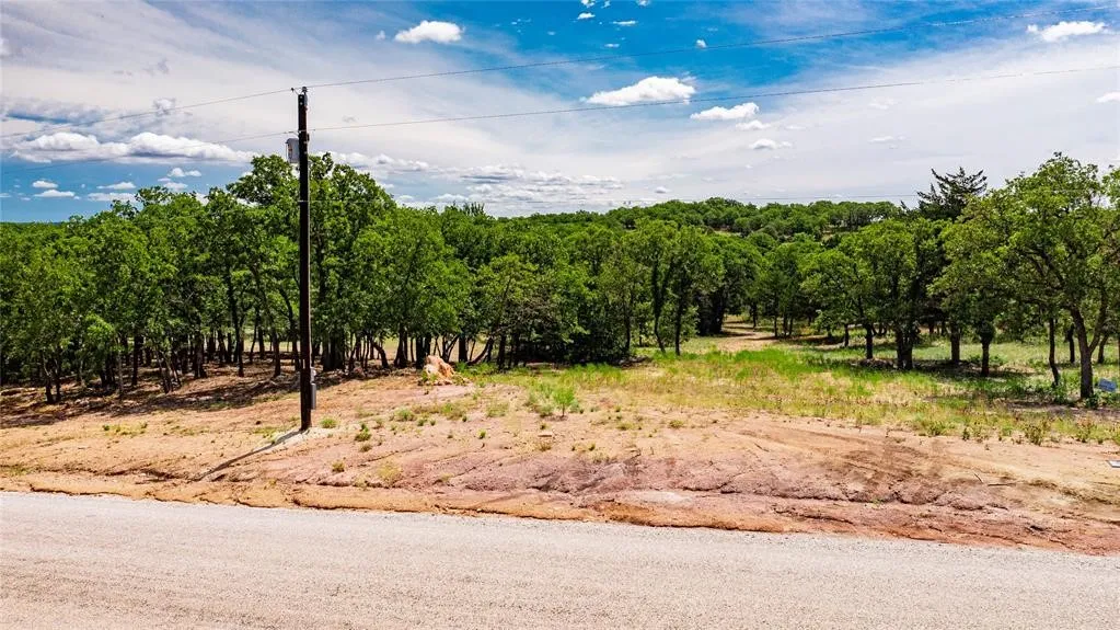 View of the 2-acre lot offering lots of trees and beautiful rolling terrain.