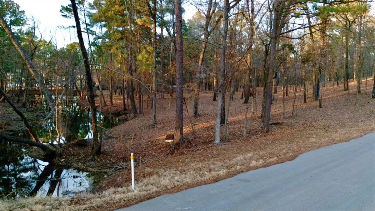 Unimproved Land For Sale in Smith County , TBD Hickory Trail (11D), Flint, Texas 75762, 0, 0, Garage spaces, 0 Sqft, built in 0, mls#21181677, Real Estate Agent in Flint, Homes For Sale in Smith county, Homes For Sale in Flint, Realtor in Flint Texas, Real Estate Brokerage Independent Realty Texas, Luminita Cordes Realtor