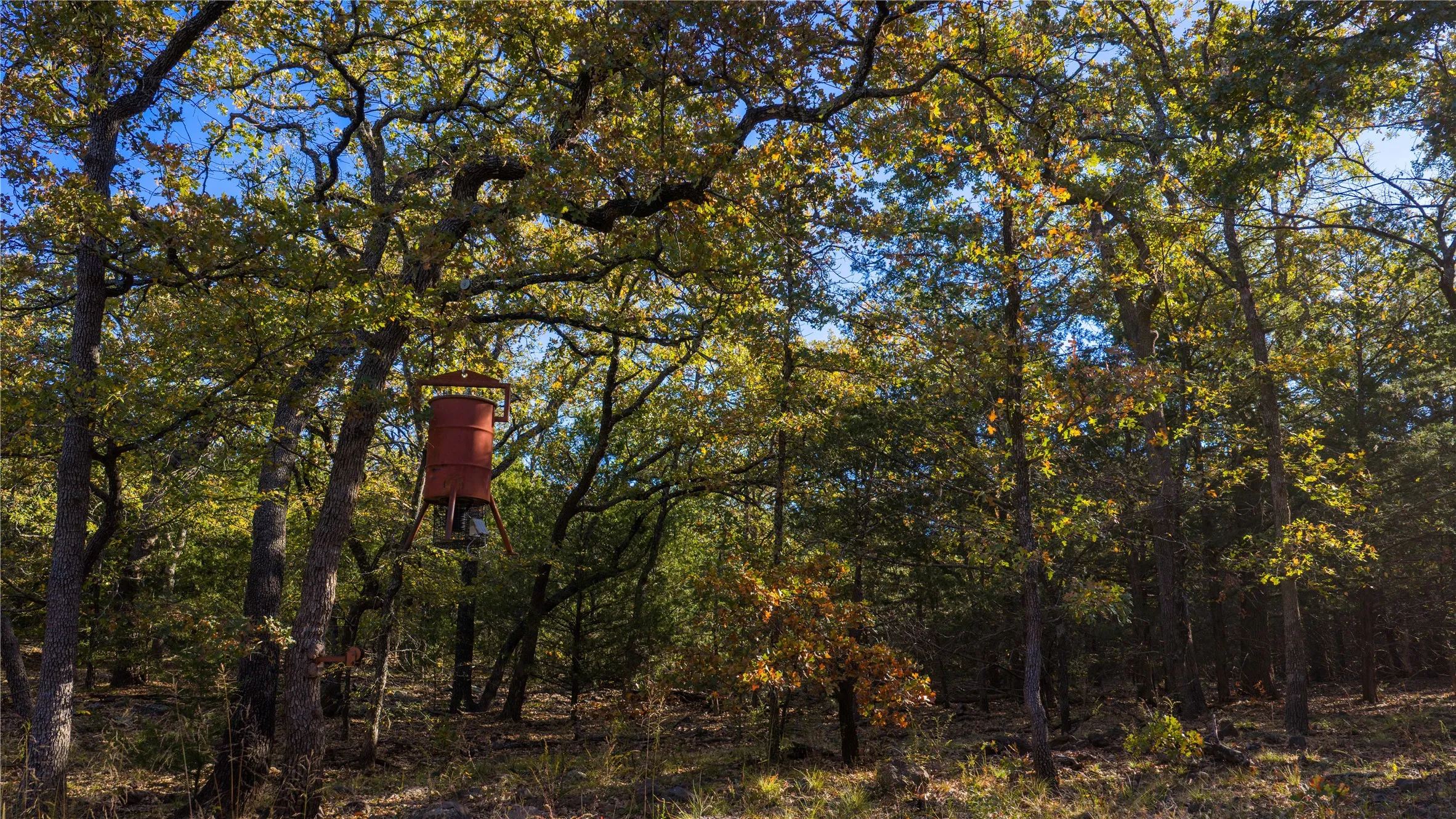 Improved Land For Sale in Cooke County , 1210 County Road 232, Collinsville, Texas 76233, 0, 0, Garage spaces, 0 Sqft, built in 2005, Price $7,495,000, mls#21197375, Real Estate Agent in Collinsville, Homes For Sale in Cooke county, Homes For Sale in Collinsville, Realtor in Collinsville Texas, Real Estate Brokerage Independent Realty Texas, Luminita Cordes Realtor