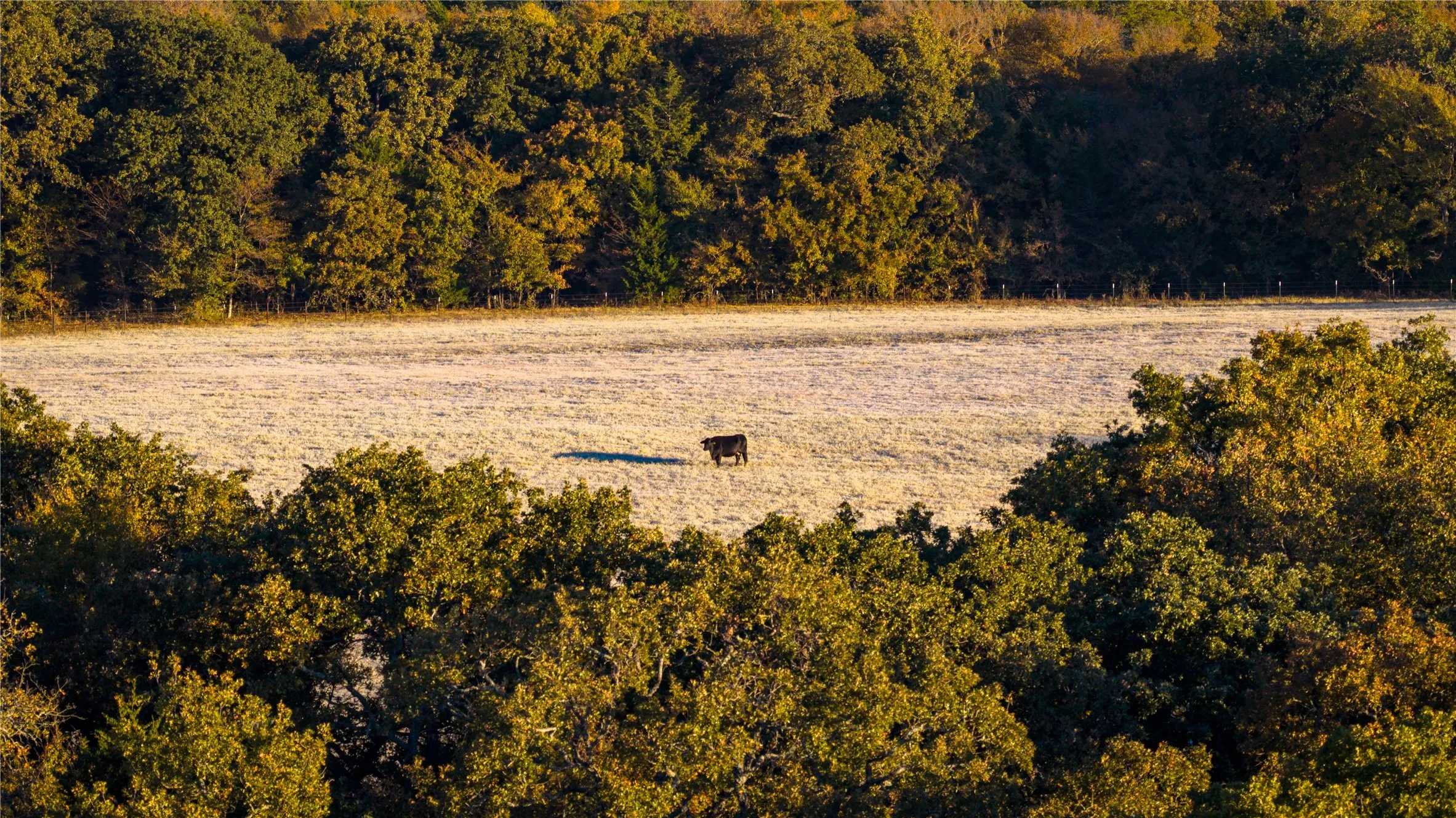 Improved Land For Sale in Cooke County , 1210 County Road 232, Collinsville, Texas 76233, 0, 0, Garage spaces, 0 Sqft, built in 2005, Price $7,495,000, mls#21197375, Real Estate Agent in Collinsville, Homes For Sale in Cooke county, Homes For Sale in Collinsville, Realtor in Collinsville Texas, Real Estate Brokerage Independent Realty Texas, Luminita Cordes Realtor
