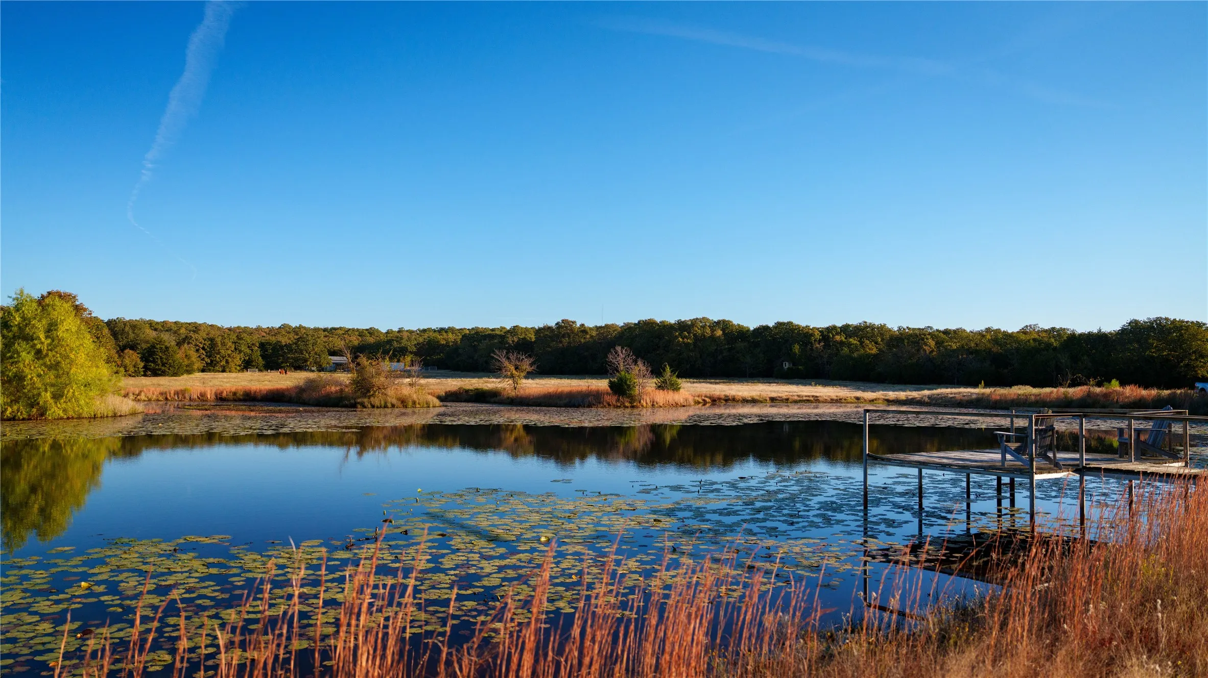Improved Land For Sale in Cooke County , 1210 County Road 232, Collinsville, Texas 76233, 0, 0, Garage spaces, 0 Sqft, built in 2005, Price $7,495,000, mls#21197375, Real Estate Agent in Collinsville, Homes For Sale in Cooke county, Homes For Sale in Collinsville, Realtor in Collinsville Texas, Real Estate Brokerage Independent Realty Texas, Luminita Cordes Realtor