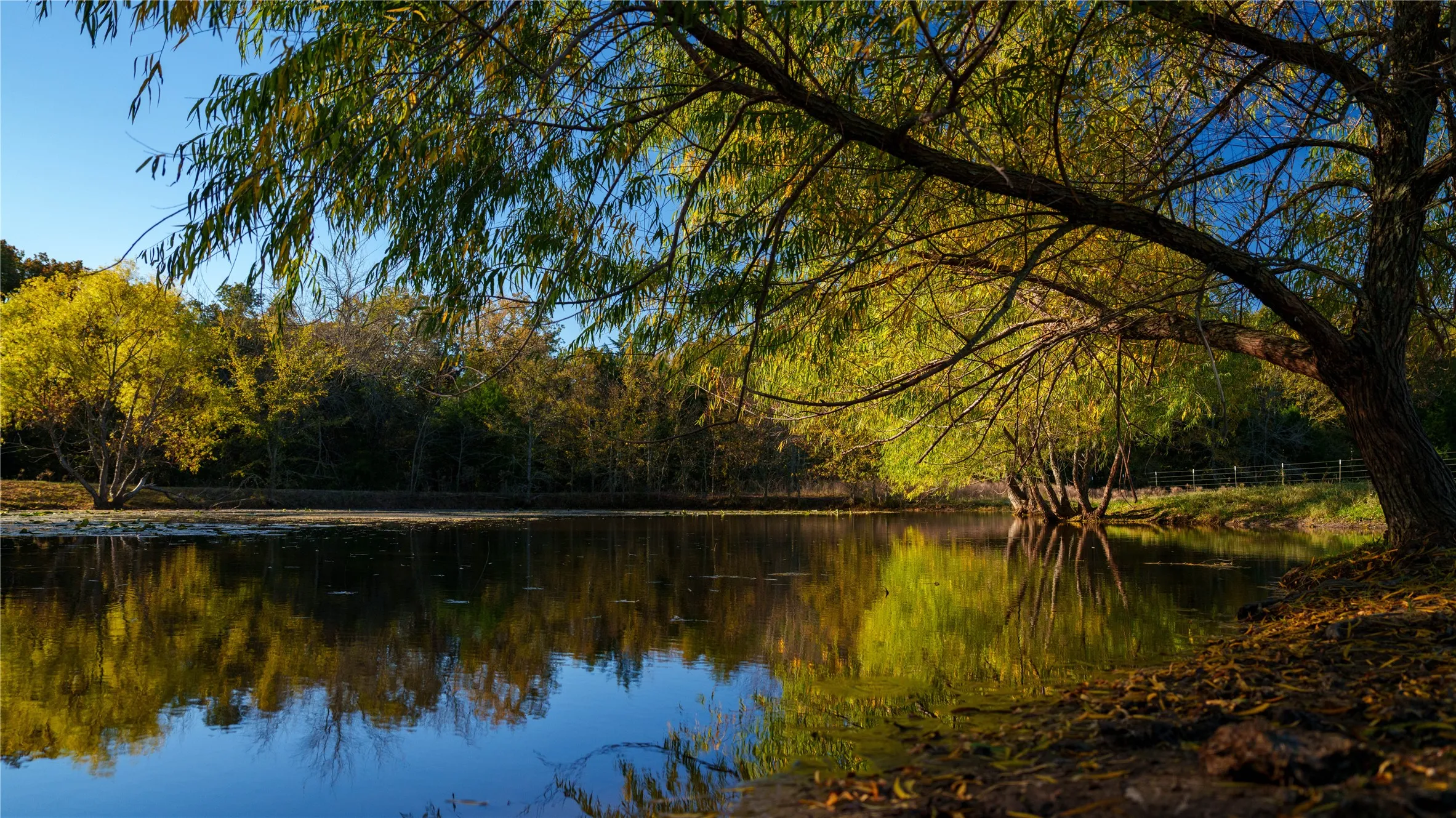 Improved Land For Sale in Cooke County , 1210 County Road 232, Collinsville, Texas 76233, 0, 0, Garage spaces, 0 Sqft, built in 2005, Price $7,495,000, mls#21197375, Real Estate Agent in Collinsville, Homes For Sale in Cooke county, Homes For Sale in Collinsville, Realtor in Collinsville Texas, Real Estate Brokerage Independent Realty Texas, Luminita Cordes Realtor