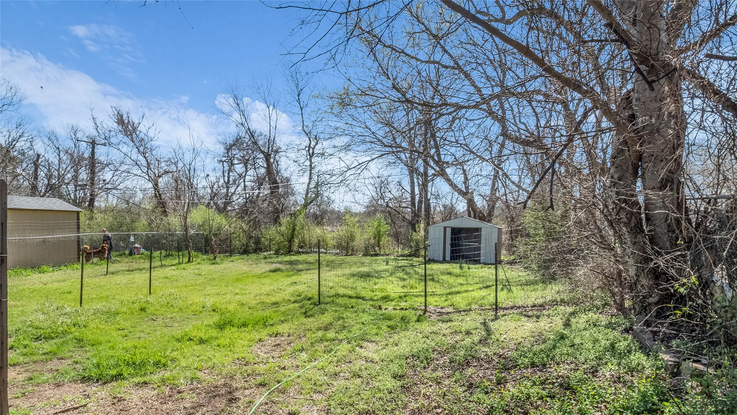 Single Family Residence For Rent in Grayson County , 1602 W Elm Street, Denison, Texas 75020, 3 Bedroom, 2 Bathroom, Garage spaces, 1,141 Sqft, built in 2003, Preowned, mls#21198907, Real Estate Agent in Denison, Homes For Rent in Grayson county, Homes For Rent in Denison, Realtor in Denison Texas, Real Estate Brokerage Independent Realty Texas, Luminita Cordes Realtor