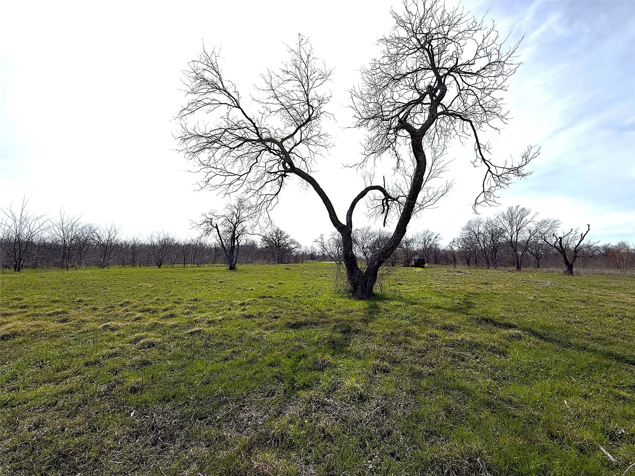 Unimproved Land For Sale in Kaufman County , 8437 Edgewater Drive, Kemp, Texas 75143, 0, 0, Garage spaces, 0 Sqft, built in 0, Price $295,000, mls#21199470, Real Estate Agent in Kemp, Homes For Sale in Kaufman county, Homes For Sale in Kemp, Realtor in Kemp Texas, Real Estate Brokerage Independent Realty Texas, Luminita Cordes Realtor