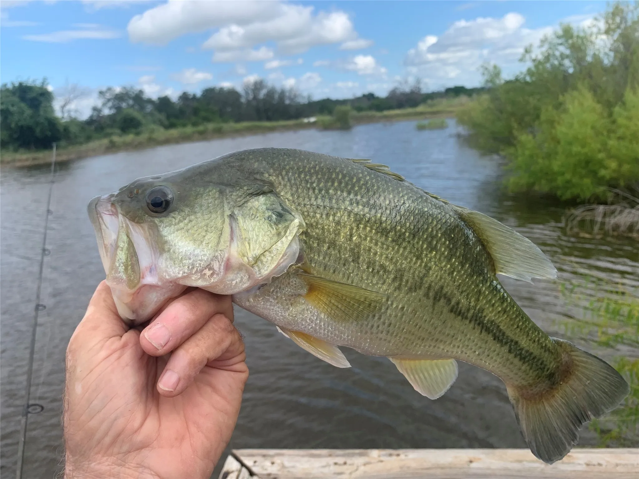 Farm For Sale in Hamilton County , 1642 County Road 234, Hico, Texas 76457, 2 Bedroom, 2 Bathroom, Garage spaces, 2,640 Sqft, built in 2006, mls#21199518, Real Estate Agent in Hico, Homes For Sale in Hamilton county, Homes For Sale in Hico, Realtor in Hico Texas, Real Estate Brokerage Independent Realty Texas, Luminita Cordes Realtor