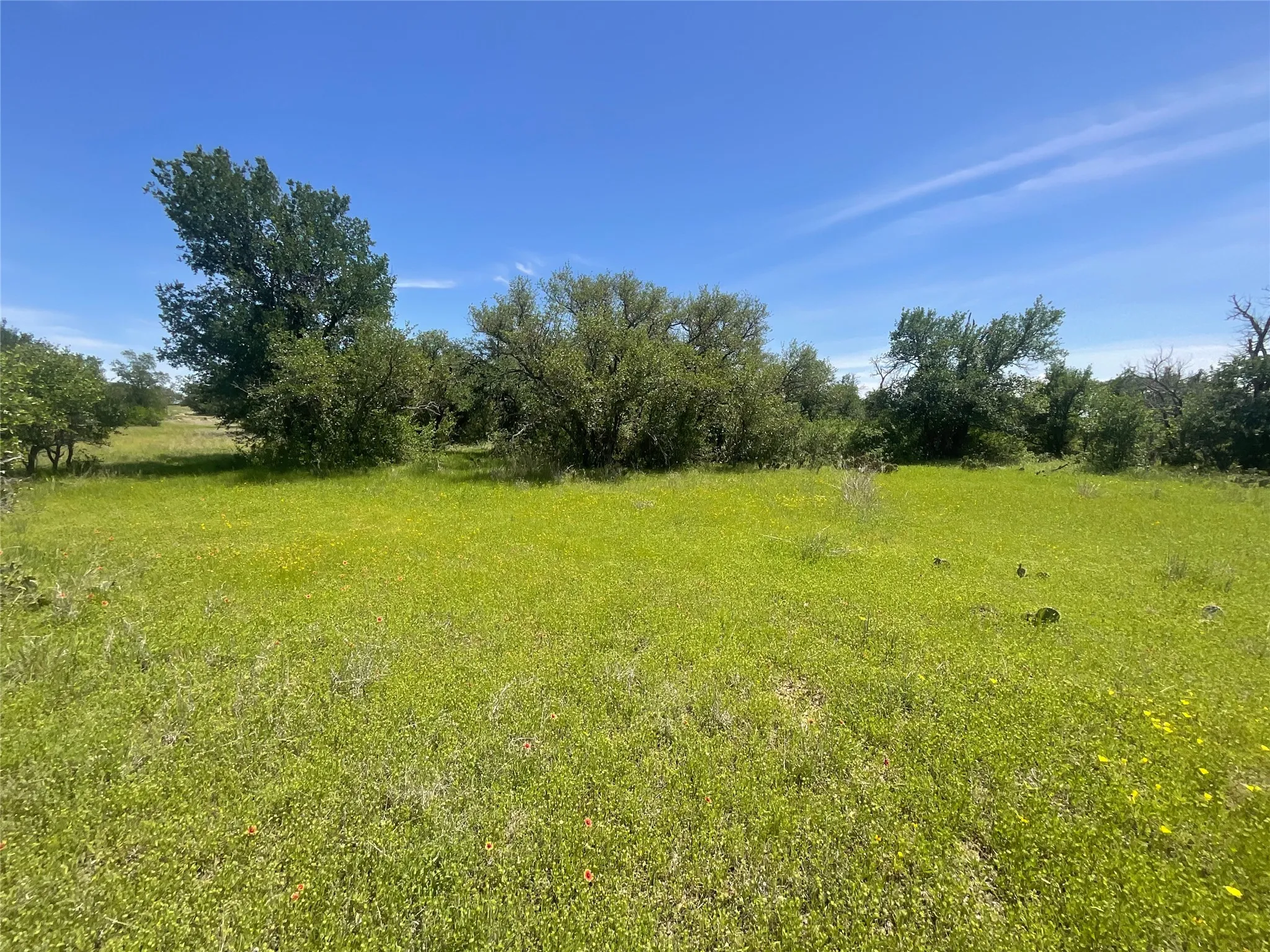 Improved Land For Sale in Brown County , 2429 County Road 411 W, Brownwood, Texas 76801, 0, 0, Garage spaces, 0 Sqft, built in 0, mls#21199537, Real Estate Agent in Brownwood, Homes For Sale in Brown county, Homes For Sale in Brownwood, Realtor in Brownwood Texas, Real Estate Brokerage Independent Realty Texas, Luminita Cordes Realtor