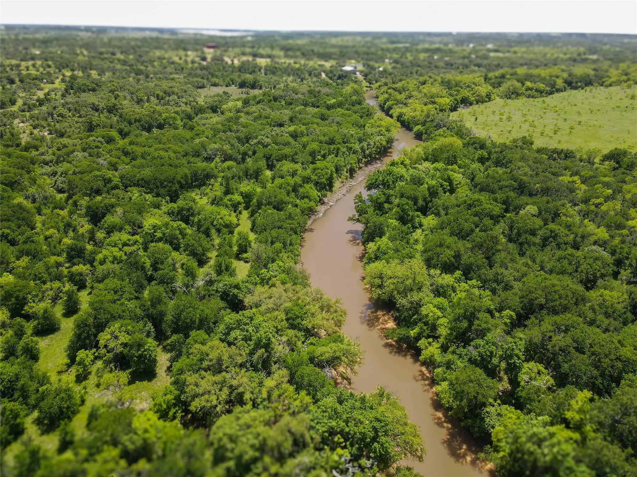 Improved Land For Sale in Brown County , 2429 County Road 411 W, Brownwood, Texas 76801, 0, 0, Garage spaces, 0 Sqft, built in 0, mls#21199537, Real Estate Agent in Brownwood, Homes For Sale in Brown county, Homes For Sale in Brownwood, Realtor in Brownwood Texas, Real Estate Brokerage Independent Realty Texas, Luminita Cordes Realtor
