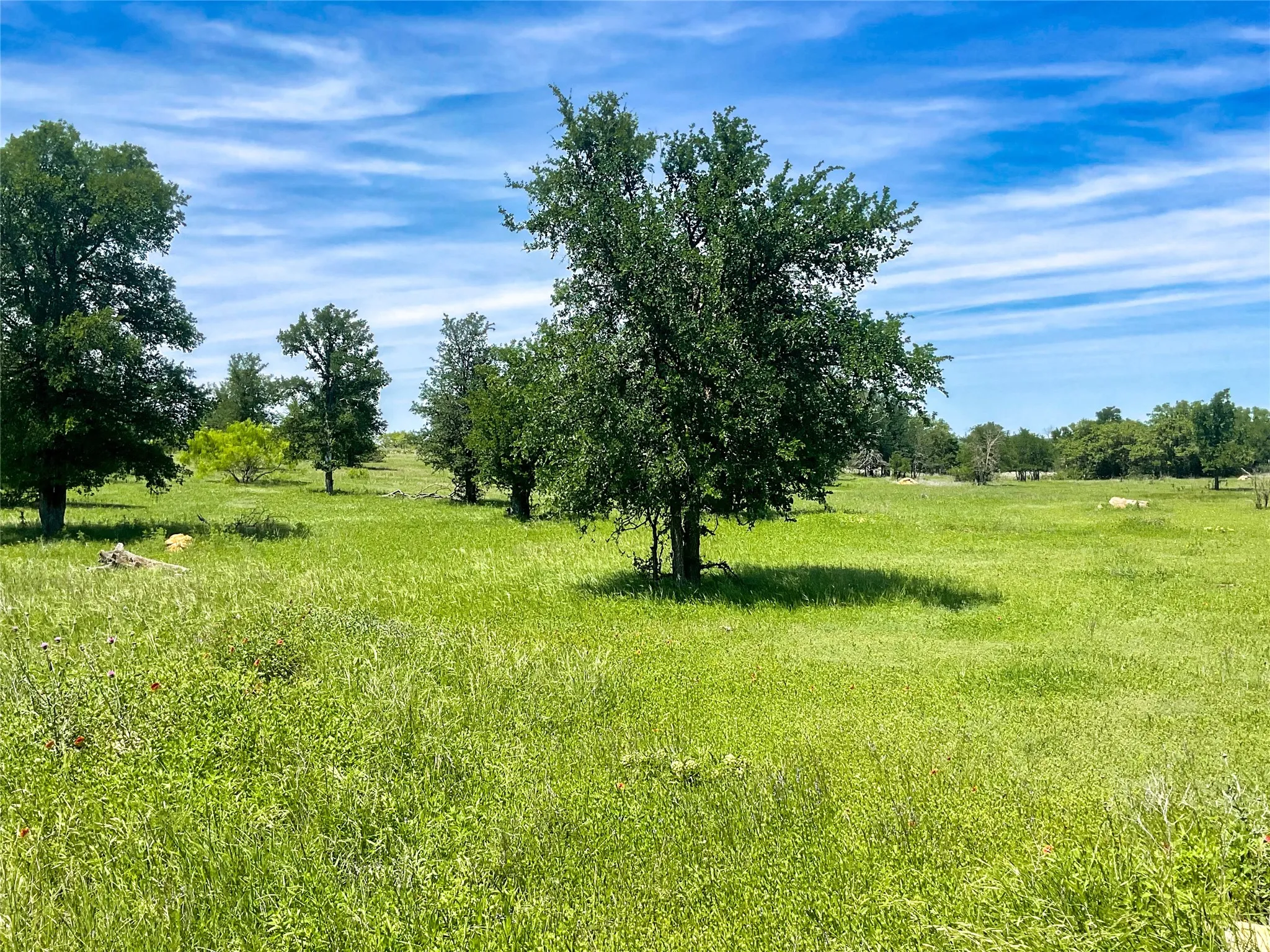 Improved Land For Sale in Brown County , 2429 County Road 411 W, Brownwood, Texas 76801, 0, 0, Garage spaces, 0 Sqft, built in 0, mls#21199537, Real Estate Agent in Brownwood, Homes For Sale in Brown county, Homes For Sale in Brownwood, Realtor in Brownwood Texas, Real Estate Brokerage Independent Realty Texas, Luminita Cordes Realtor