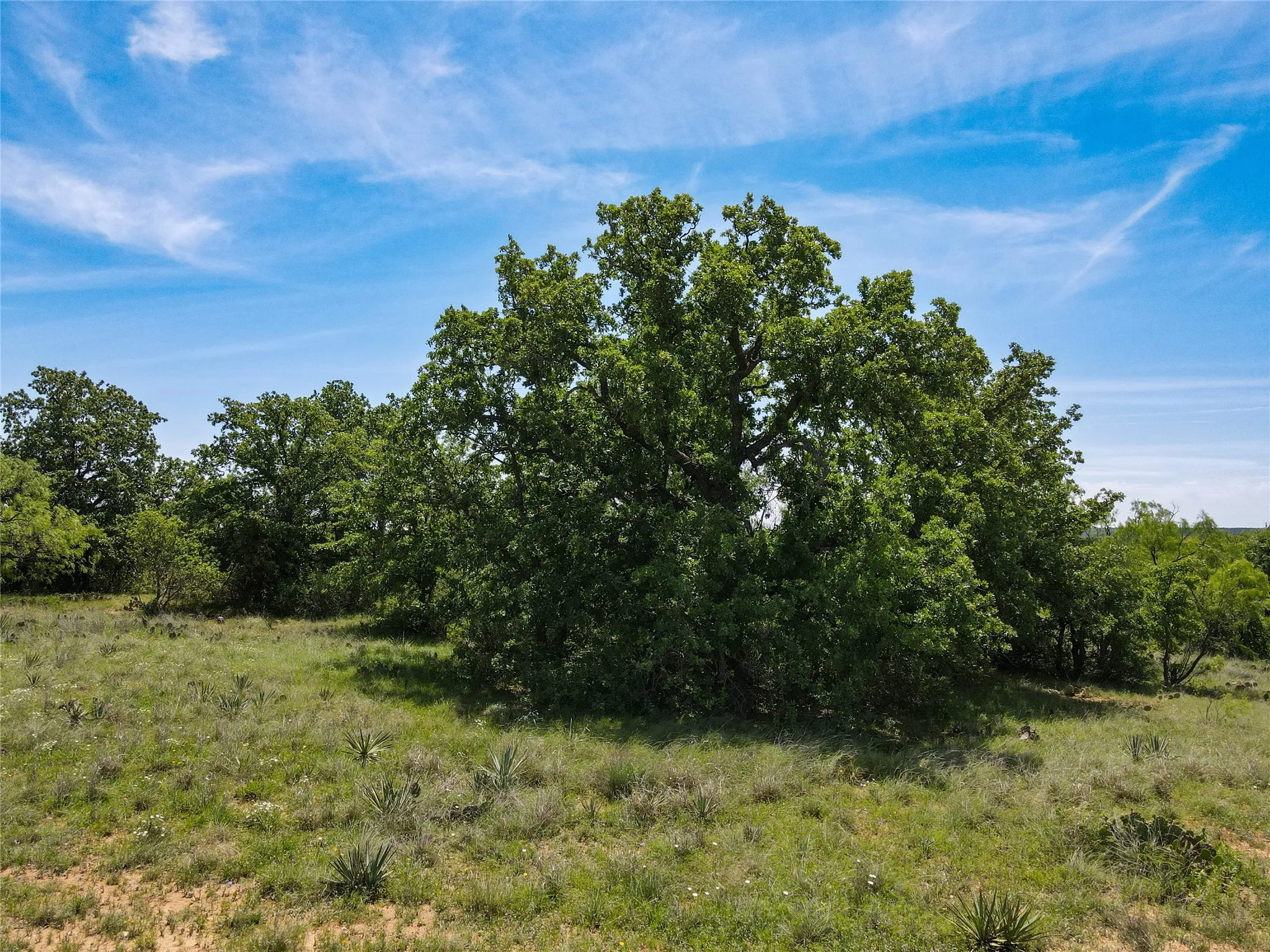 Improved Land For Sale in Brown County , 2429 County Road 411 W, Brownwood, Texas 76801, 0, 0, Garage spaces, 0 Sqft, built in 0, mls#21199537, Real Estate Agent in Brownwood, Homes For Sale in Brown county, Homes For Sale in Brownwood, Realtor in Brownwood Texas, Real Estate Brokerage Independent Realty Texas, Luminita Cordes Realtor