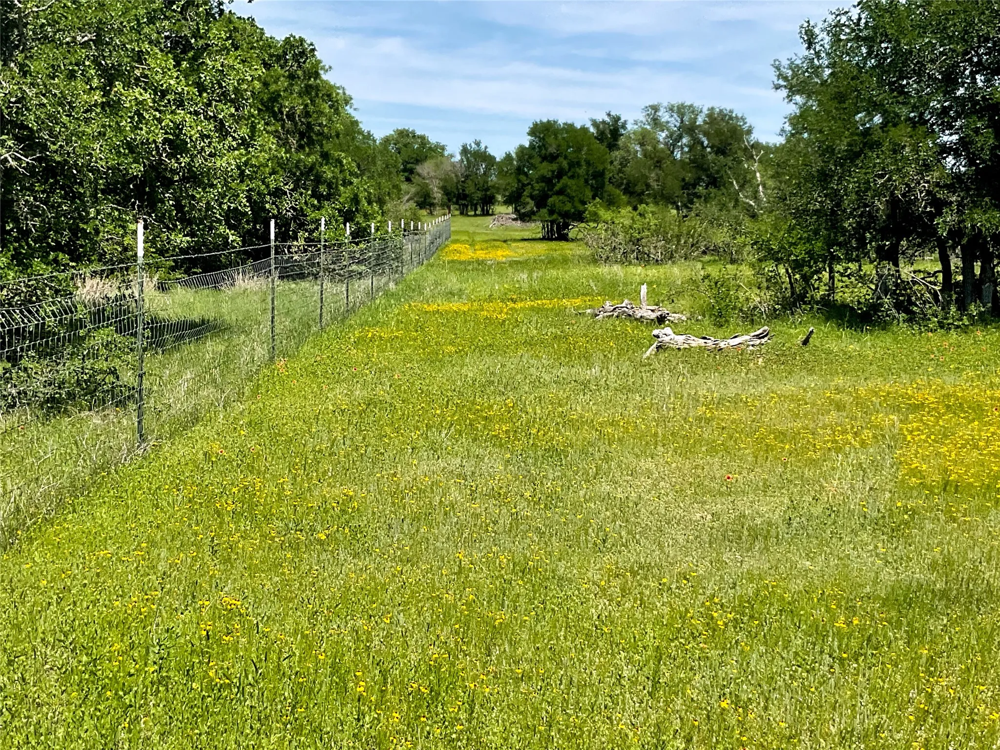 Improved Land For Sale in Brown County , 2429 County Road 411 W, Brownwood, Texas 76801, 0, 0, Garage spaces, 0 Sqft, built in 0, mls#21199537, Real Estate Agent in Brownwood, Homes For Sale in Brown county, Homes For Sale in Brownwood, Realtor in Brownwood Texas, Real Estate Brokerage Independent Realty Texas, Luminita Cordes Realtor