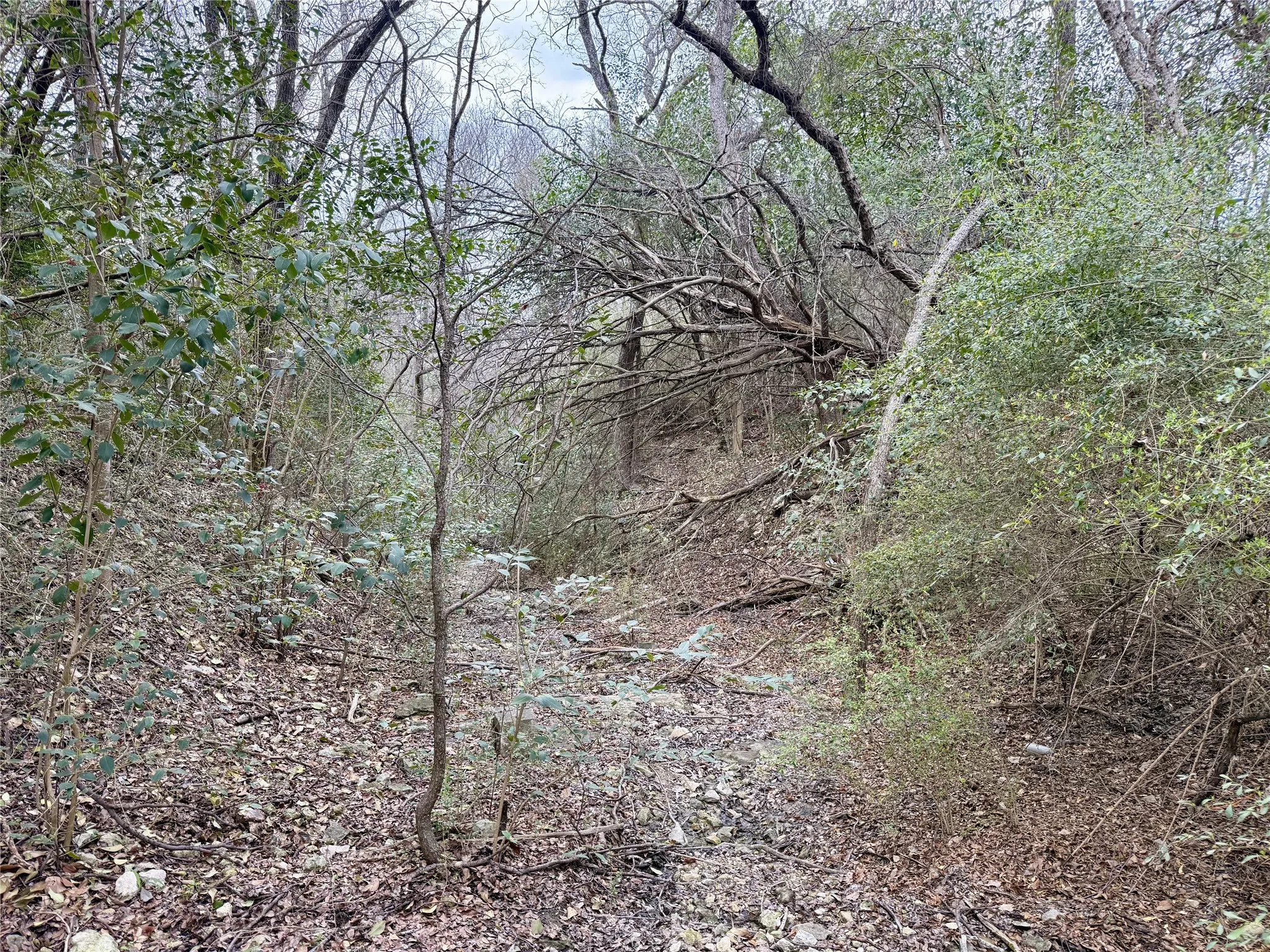 Behind the house on CORP land