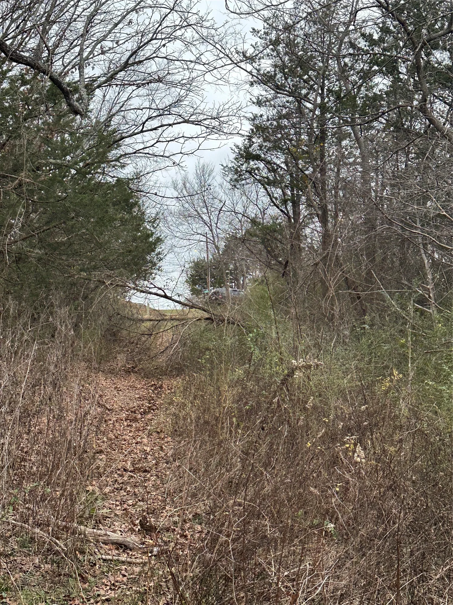 View of undeveloped land