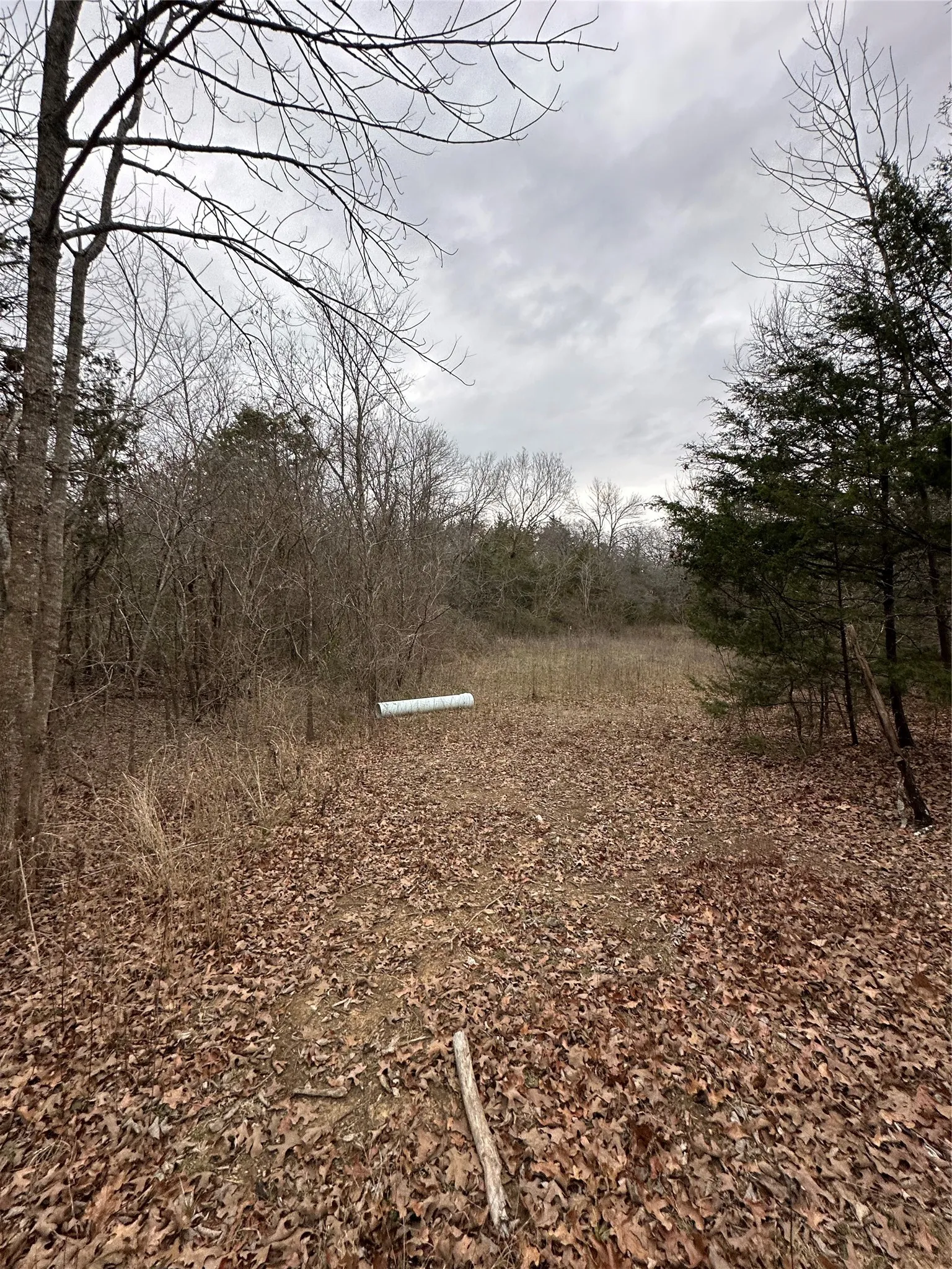View of undeveloped land