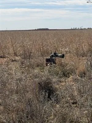 Improved Land For Sale in Haskell County , tbd CR 168, Haskell, Texas 75921, 0, 0, Garage spaces, 0 Sqft, built in 0, Price $1,485,000, mls#21200027, Real Estate Agent in Haskell, Homes For Sale in Haskell county, Homes For Sale in Haskell, Realtor in Haskell Texas, Real Estate Brokerage Independent Realty Texas, Luminita Cordes Realtor