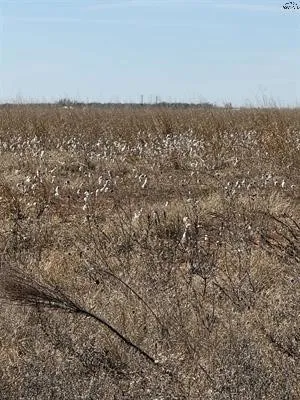 Improved Land For Sale in Haskell County , tbd CR 168, Haskell, Texas 75921, 0, 0, Garage spaces, 0 Sqft, built in 0, Price $1,485,000, mls#21200027, Real Estate Agent in Haskell, Homes For Sale in Haskell county, Homes For Sale in Haskell, Realtor in Haskell Texas, Real Estate Brokerage Independent Realty Texas, Luminita Cordes Realtor