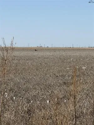 Improved Land For Sale in Haskell County , tbd CR 168, Haskell, Texas 75921, 0, 0, Garage spaces, 0 Sqft, built in 0, Price $1,485,000, mls#21200027, Real Estate Agent in Haskell, Homes For Sale in Haskell county, Homes For Sale in Haskell, Realtor in Haskell Texas, Real Estate Brokerage Independent Realty Texas, Luminita Cordes Realtor