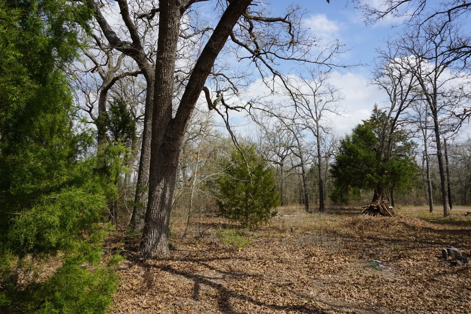 Improved Land For Sale in Henderson County , 1698 Doc Holiday Dr, Log Cabin, Texas 75148, 0, 0, Garage spaces, 0 Sqft, built in 0, Price $35,000, mls#21200038, Real Estate Agent in Log Cabin, Homes For Sale in Henderson county, Homes For Sale in Log Cabin, Realtor in Log Cabin Texas, Real Estate Brokerage Independent Realty Texas, Luminita Cordes Realtor