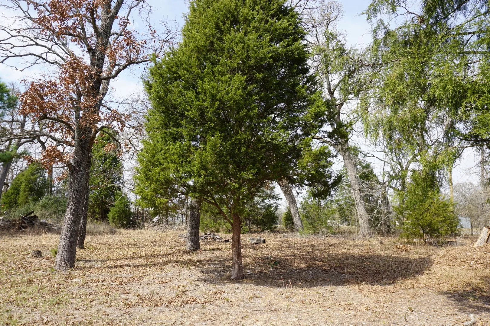 Improved Land For Sale in Henderson County , 1698 Doc Holiday Dr, Log Cabin, Texas 75148, 0, 0, Garage spaces, 0 Sqft, built in 0, Price $35,000, mls#21200038, Real Estate Agent in Log Cabin, Homes For Sale in Henderson county, Homes For Sale in Log Cabin, Realtor in Log Cabin Texas, Real Estate Brokerage Independent Realty Texas, Luminita Cordes Realtor