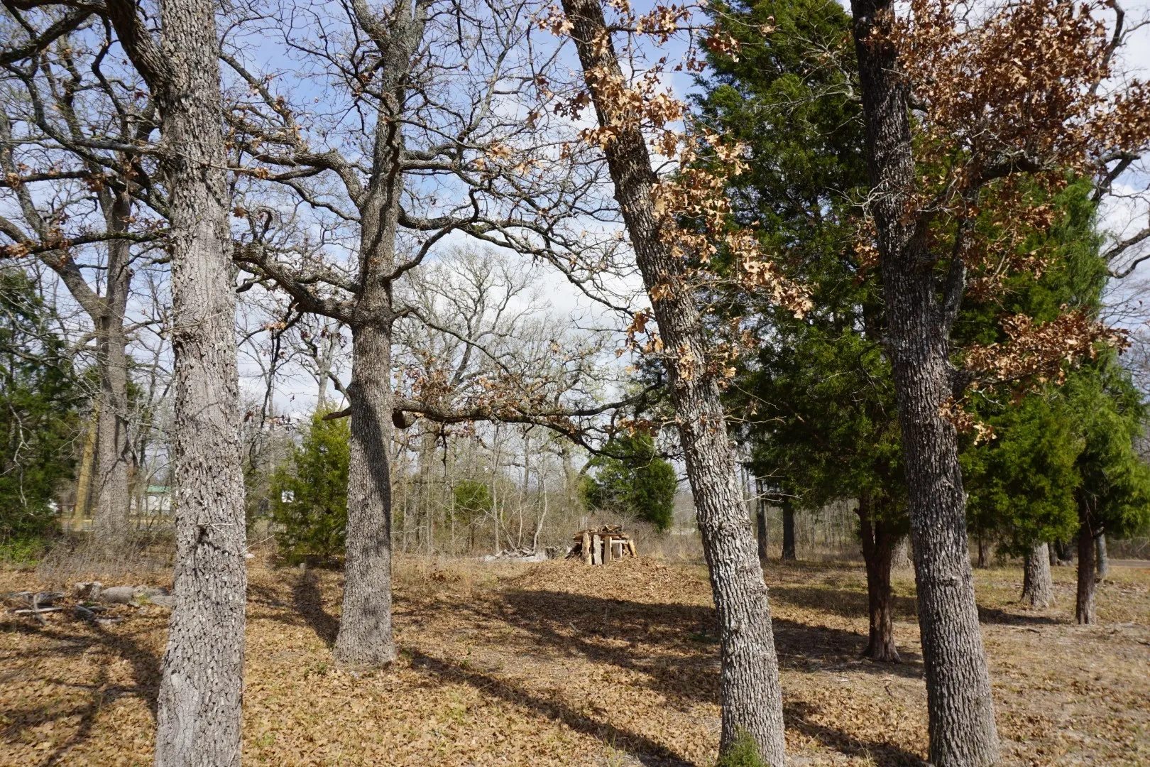 Improved Land For Sale in Henderson County , 1698 Doc Holiday Dr, Log Cabin, Texas 75148, 0, 0, Garage spaces, 0 Sqft, built in 0, Price $35,000, mls#21200038, Real Estate Agent in Log Cabin, Homes For Sale in Henderson county, Homes For Sale in Log Cabin, Realtor in Log Cabin Texas, Real Estate Brokerage Independent Realty Texas, Luminita Cordes Realtor