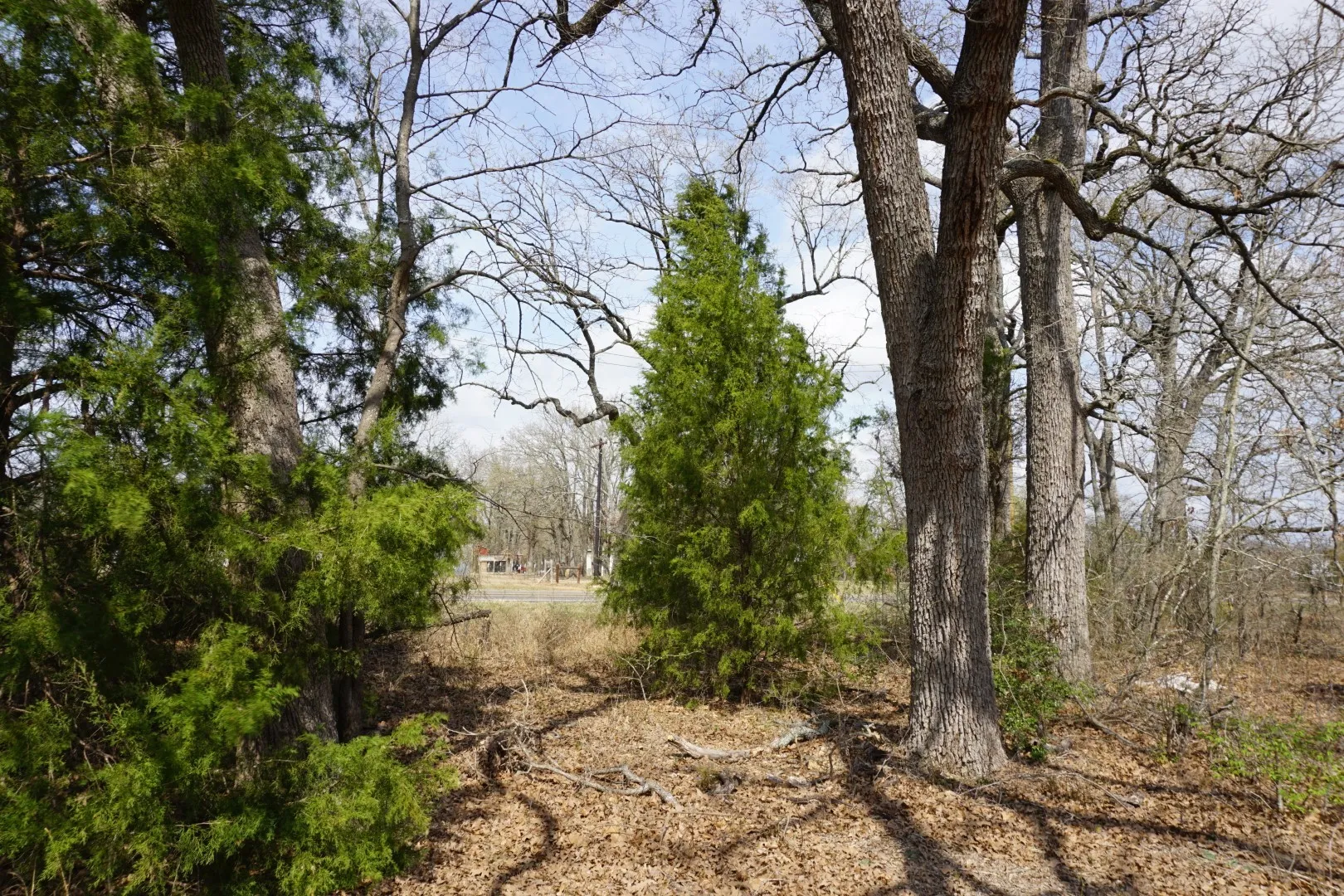 Improved Land For Sale in Henderson County , 1698 Doc Holiday Dr, Log Cabin, Texas 75148, 0, 0, Garage spaces, 0 Sqft, built in 0, Price $35,000, mls#21200038, Real Estate Agent in Log Cabin, Homes For Sale in Henderson county, Homes For Sale in Log Cabin, Realtor in Log Cabin Texas, Real Estate Brokerage Independent Realty Texas, Luminita Cordes Realtor