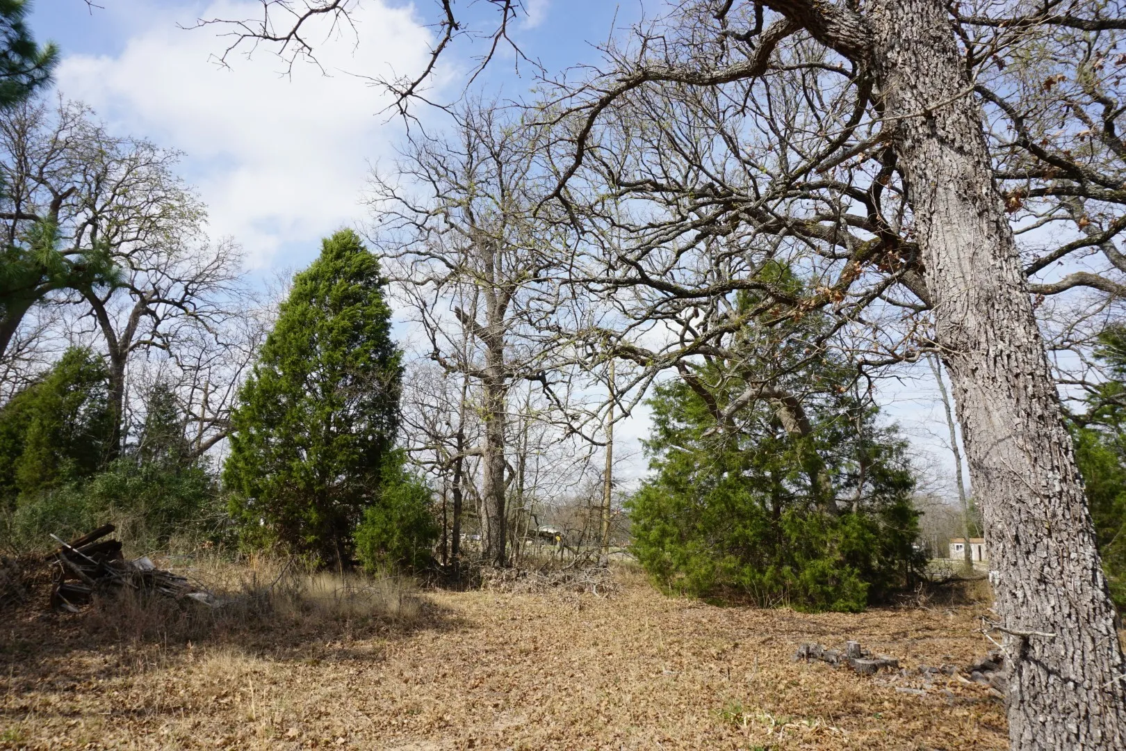 Improved Land For Sale in Henderson County , 1698 Doc Holiday Dr, Log Cabin, Texas 75148, 0, 0, Garage spaces, 0 Sqft, built in 0, Price $35,000, mls#21200038, Real Estate Agent in Log Cabin, Homes For Sale in Henderson county, Homes For Sale in Log Cabin, Realtor in Log Cabin Texas, Real Estate Brokerage Independent Realty Texas, Luminita Cordes Realtor