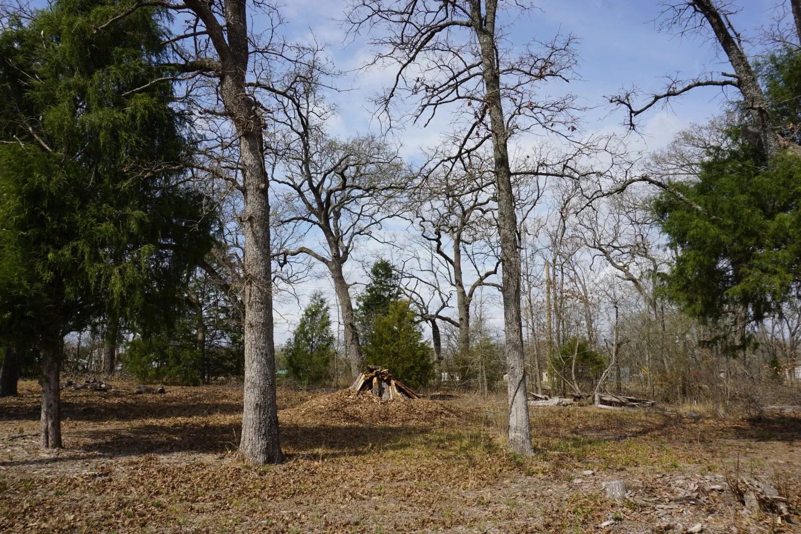 Improved Land For Sale in Henderson County , 1698 Doc Holiday Dr, Log Cabin, Texas 75148, 0, 0, Garage spaces, 0 Sqft, built in 0, Price $35,000, mls#21200038, Real Estate Agent in Log Cabin, Homes For Sale in Henderson county, Homes For Sale in Log Cabin, Realtor in Log Cabin Texas, Real Estate Brokerage Independent Realty Texas, Luminita Cordes Realtor