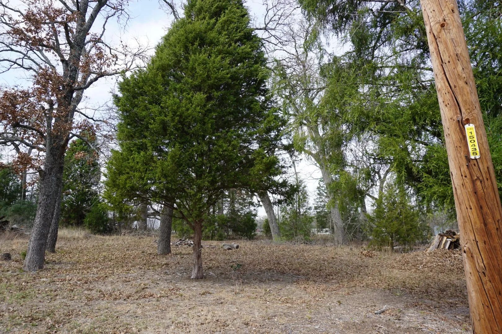 Improved Land For Sale in Henderson County , 1698 Doc Holiday Dr, Log Cabin, Texas 75148, 0, 0, Garage spaces, 0 Sqft, built in 0, Price $35,000, mls#21200038, Real Estate Agent in Log Cabin, Homes For Sale in Henderson county, Homes For Sale in Log Cabin, Realtor in Log Cabin Texas, Real Estate Brokerage Independent Realty Texas, Luminita Cordes Realtor