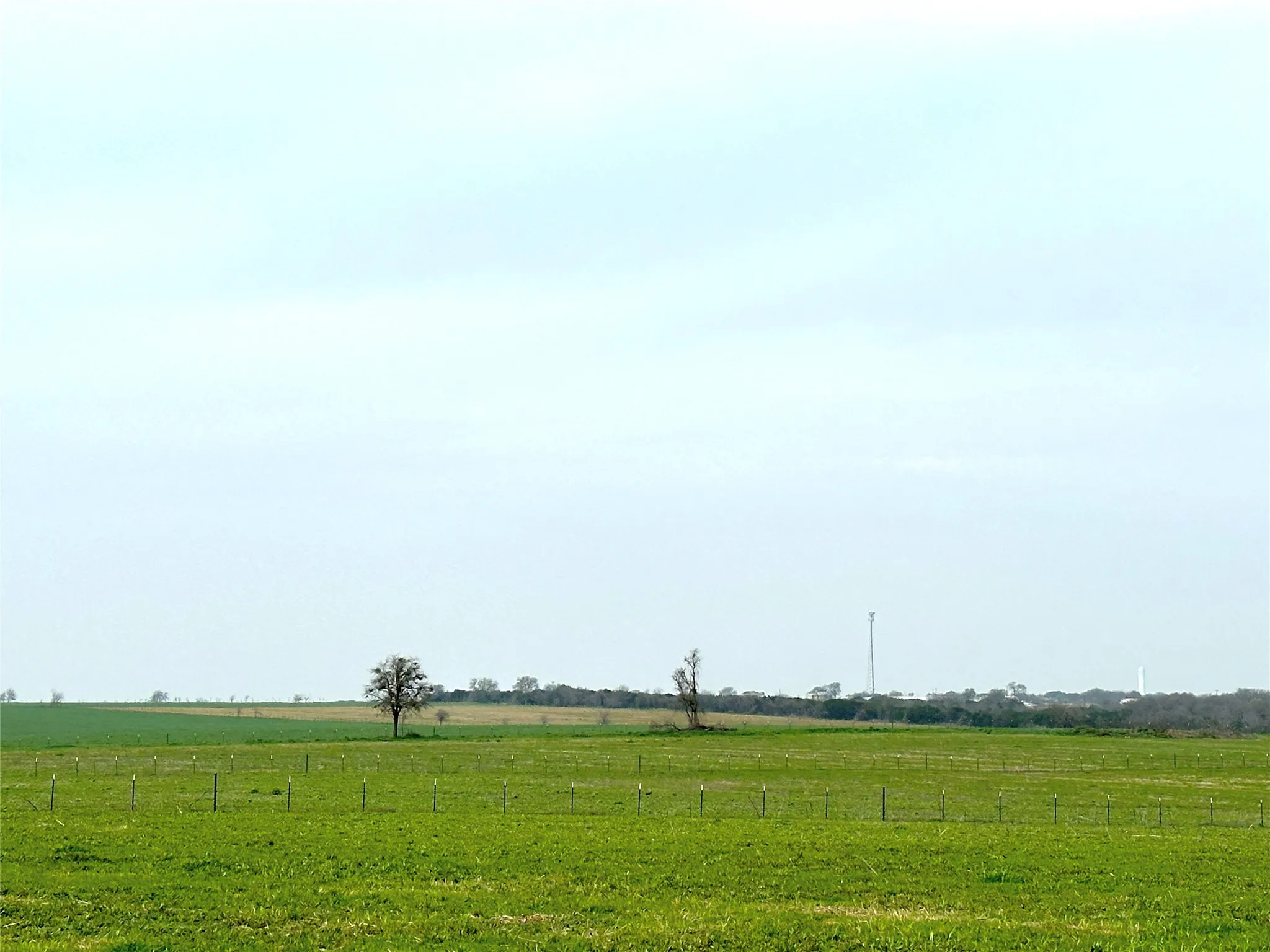 Improved Land For Sale in Coryell County , Sunset Ranch Tract 10 CR 356 Road, Gatesville, Texas 76528, 0, 0, Garage spaces, 0 Sqft, built in 0, mls#21200056, Real Estate Agent in Gatesville, Homes For Sale in Coryell county, Homes For Sale in Gatesville, Realtor in Gatesville Texas, Real Estate Brokerage Independent Realty Texas, Luminita Cordes Realtor