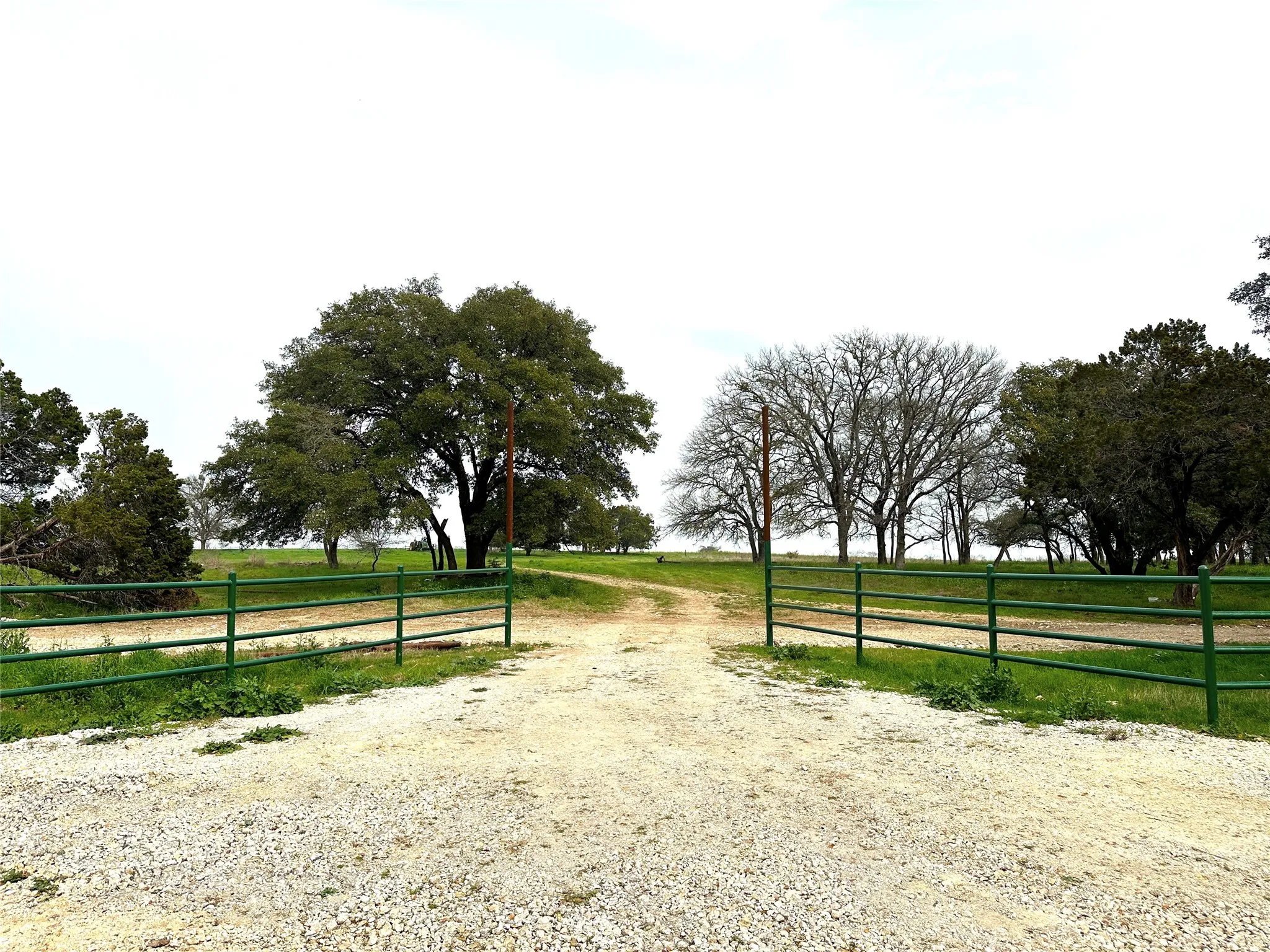 Improved Land For Sale in Coryell County , Sunset Ranch Tract 10 CR 356 Road, Gatesville, Texas 76528, 0, 0, Garage spaces, 0 Sqft, built in 0, mls#21200056, Real Estate Agent in Gatesville, Homes For Sale in Coryell county, Homes For Sale in Gatesville, Realtor in Gatesville Texas, Real Estate Brokerage Independent Realty Texas, Luminita Cordes Realtor