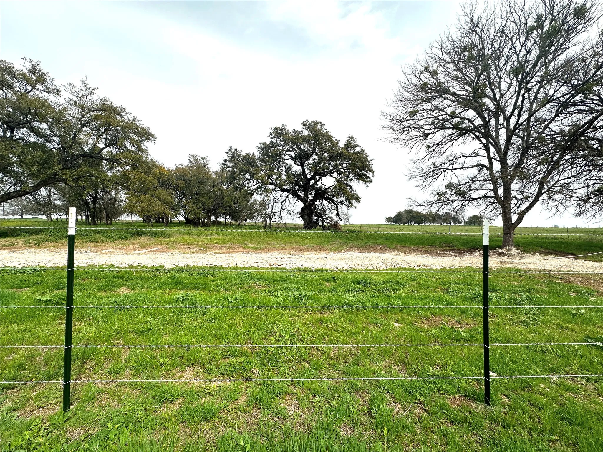 Improved Land For Sale in Coryell County , Sunset Ranch Tract 10 CR 356 Road, Gatesville, Texas 76528, 0, 0, Garage spaces, 0 Sqft, built in 0, mls#21200056, Real Estate Agent in Gatesville, Homes For Sale in Coryell county, Homes For Sale in Gatesville, Realtor in Gatesville Texas, Real Estate Brokerage Independent Realty Texas, Luminita Cordes Realtor