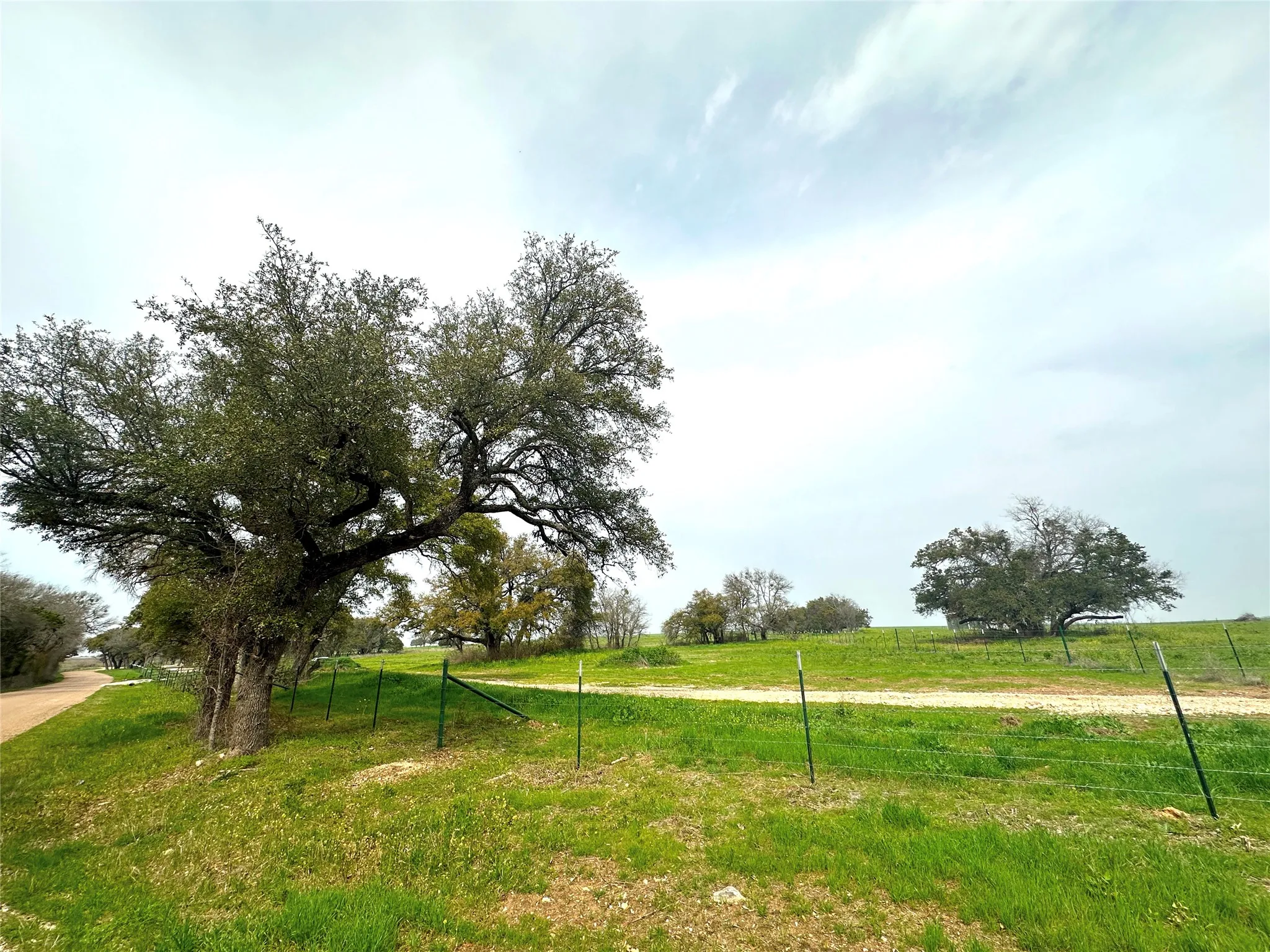 Improved Land For Sale in Coryell County , Sunset Ranch Tract 10 CR 356 Road, Gatesville, Texas 76528, 0, 0, Garage spaces, 0 Sqft, built in 0, mls#21200056, Real Estate Agent in Gatesville, Homes For Sale in Coryell county, Homes For Sale in Gatesville, Realtor in Gatesville Texas, Real Estate Brokerage Independent Realty Texas, Luminita Cordes Realtor