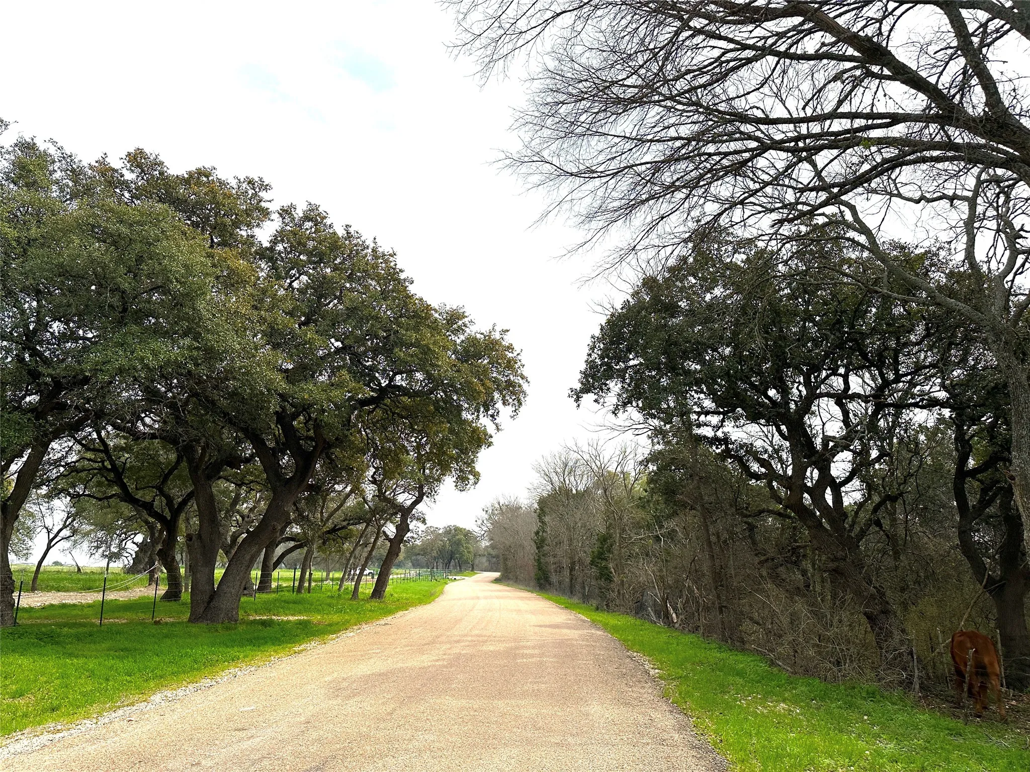 Improved Land For Sale in Coryell County , Sunset Ranch Tract 10 CR 356 Road, Gatesville, Texas 76528, 0, 0, Garage spaces, 0 Sqft, built in 0, mls#21200056, Real Estate Agent in Gatesville, Homes For Sale in Coryell county, Homes For Sale in Gatesville, Realtor in Gatesville Texas, Real Estate Brokerage Independent Realty Texas, Luminita Cordes Realtor