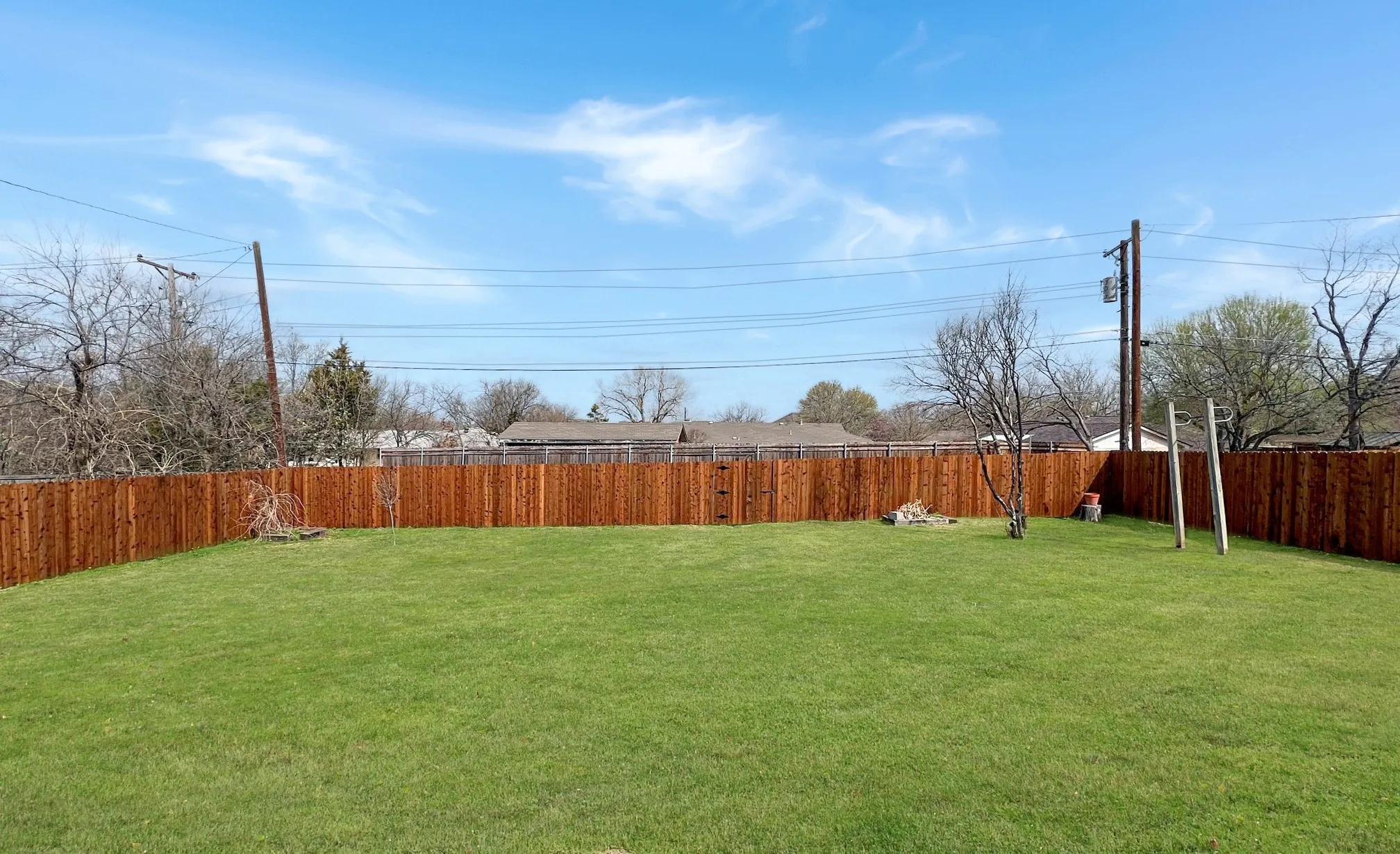 Back yard