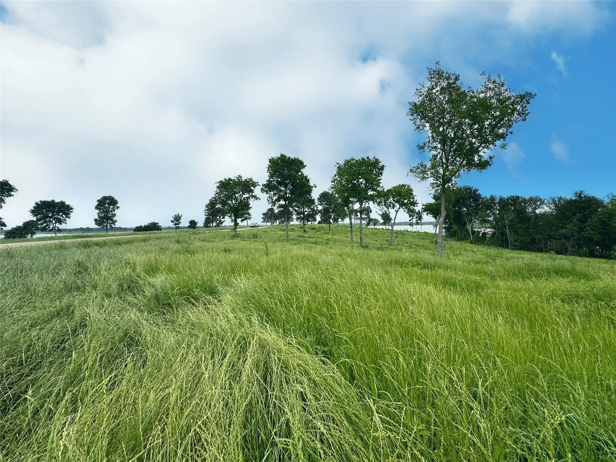 Unimproved Land For Sale in Navarro County , Lot 81 & SLP#17 Shoreside Drive, Corsicana, Texas 75109, 0, 0, Garage spaces, 0 Sqft, built in 0, Price $109,500, mls#21199614, Real Estate Agent in Corsicana, Homes For Sale in Navarro county, Homes For Sale in Corsicana, Realtor in Corsicana Texas, Real Estate Brokerage Independent Realty Texas, Luminita Cordes Realtor