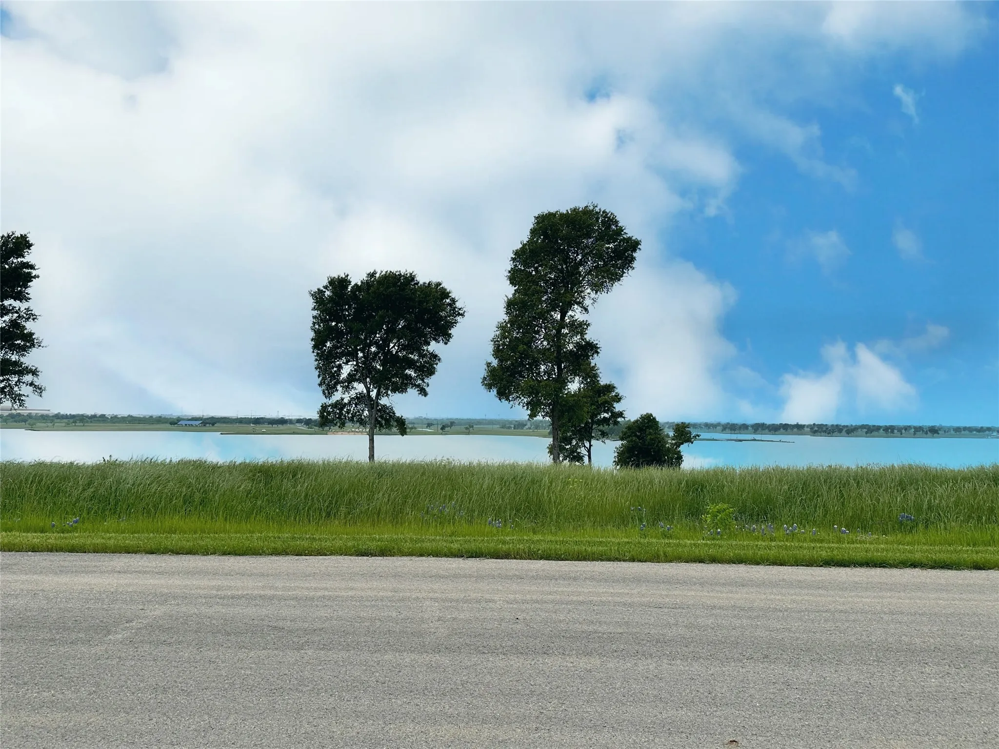 Unimproved Land For Sale in Navarro County , Lot 81 & SLP#17 Shoreside Drive, Corsicana, Texas 75109, 0, 0, Garage spaces, 0 Sqft, built in 0, Price $109,500, mls#21199614, Real Estate Agent in Corsicana, Homes For Sale in Navarro county, Homes For Sale in Corsicana, Realtor in Corsicana Texas, Real Estate Brokerage Independent Realty Texas, Luminita Cordes Realtor