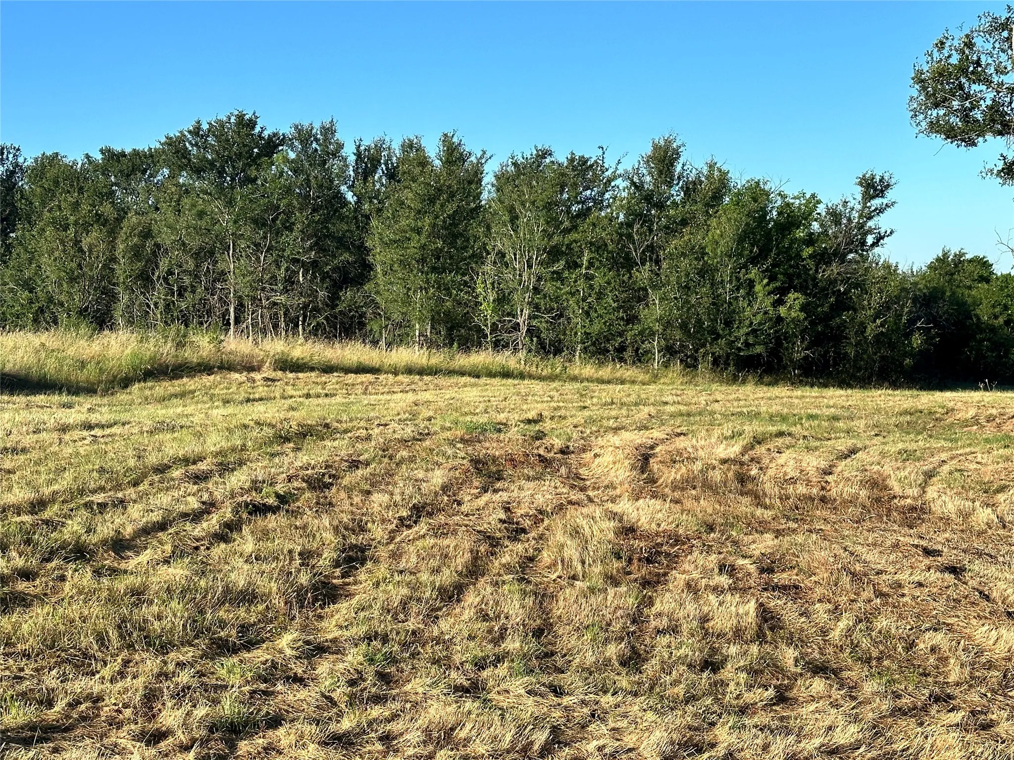 Unimproved Land For Sale in Navarro County , Lot 81 & SLP#17 Shoreside Drive, Corsicana, Texas 75109, 0, 0, Garage spaces, 0 Sqft, built in 0, Price $109,500, mls#21199614, Real Estate Agent in Corsicana, Homes For Sale in Navarro county, Homes For Sale in Corsicana, Realtor in Corsicana Texas, Real Estate Brokerage Independent Realty Texas, Luminita Cordes Realtor