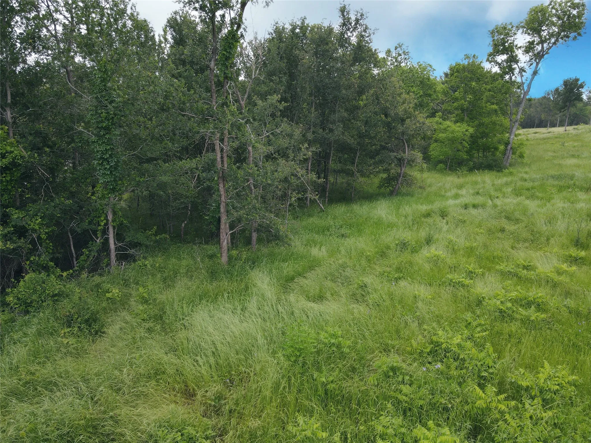 Unimproved Land For Sale in Navarro County , Lot 81 & SLP#17 Shoreside Drive, Corsicana, Texas 75109, 0, 0, Garage spaces, 0 Sqft, built in 0, Price $109,500, mls#21199614, Real Estate Agent in Corsicana, Homes For Sale in Navarro county, Homes For Sale in Corsicana, Realtor in Corsicana Texas, Real Estate Brokerage Independent Realty Texas, Luminita Cordes Realtor