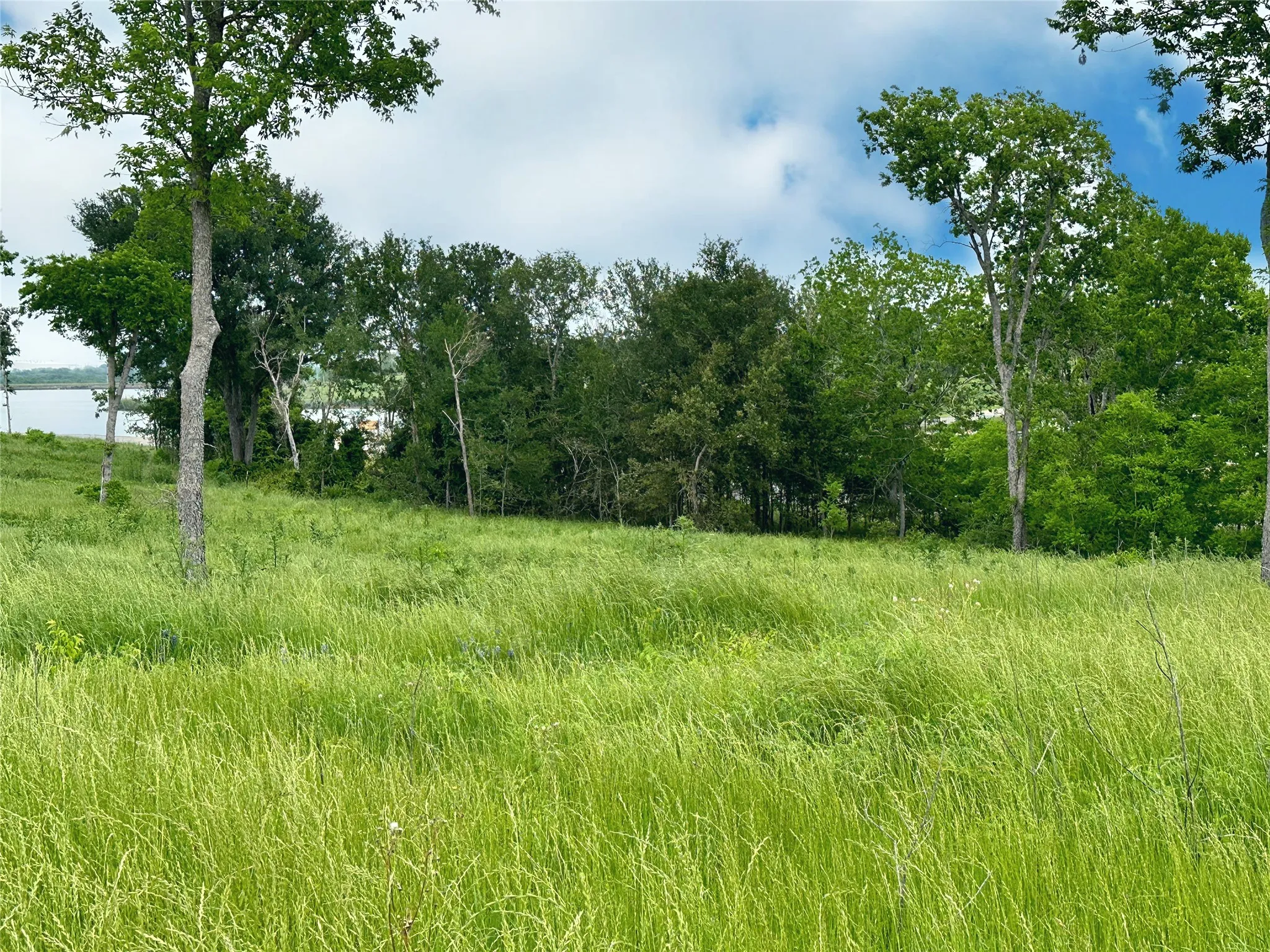 Unimproved Land For Sale in Navarro County , Lot 81 & SLP#17 Shoreside Drive, Corsicana, Texas 75109, 0, 0, Garage spaces, 0 Sqft, built in 0, Price $109,500, mls#21199614, Real Estate Agent in Corsicana, Homes For Sale in Navarro county, Homes For Sale in Corsicana, Realtor in Corsicana Texas, Real Estate Brokerage Independent Realty Texas, Luminita Cordes Realtor