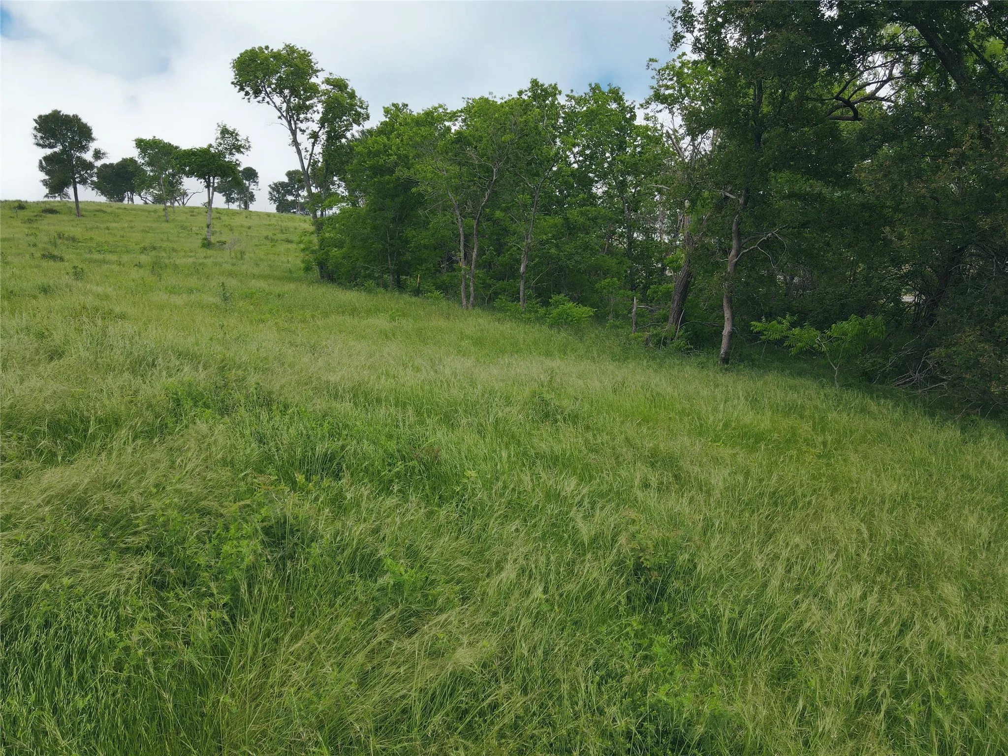 Unimproved Land For Sale in Navarro County , Lot 81 & SLP#17 Shoreside Drive, Corsicana, Texas 75109, 0, 0, Garage spaces, 0 Sqft, built in 0, Price $109,500, mls#21199614, Real Estate Agent in Corsicana, Homes For Sale in Navarro county, Homes For Sale in Corsicana, Realtor in Corsicana Texas, Real Estate Brokerage Independent Realty Texas, Luminita Cordes Realtor