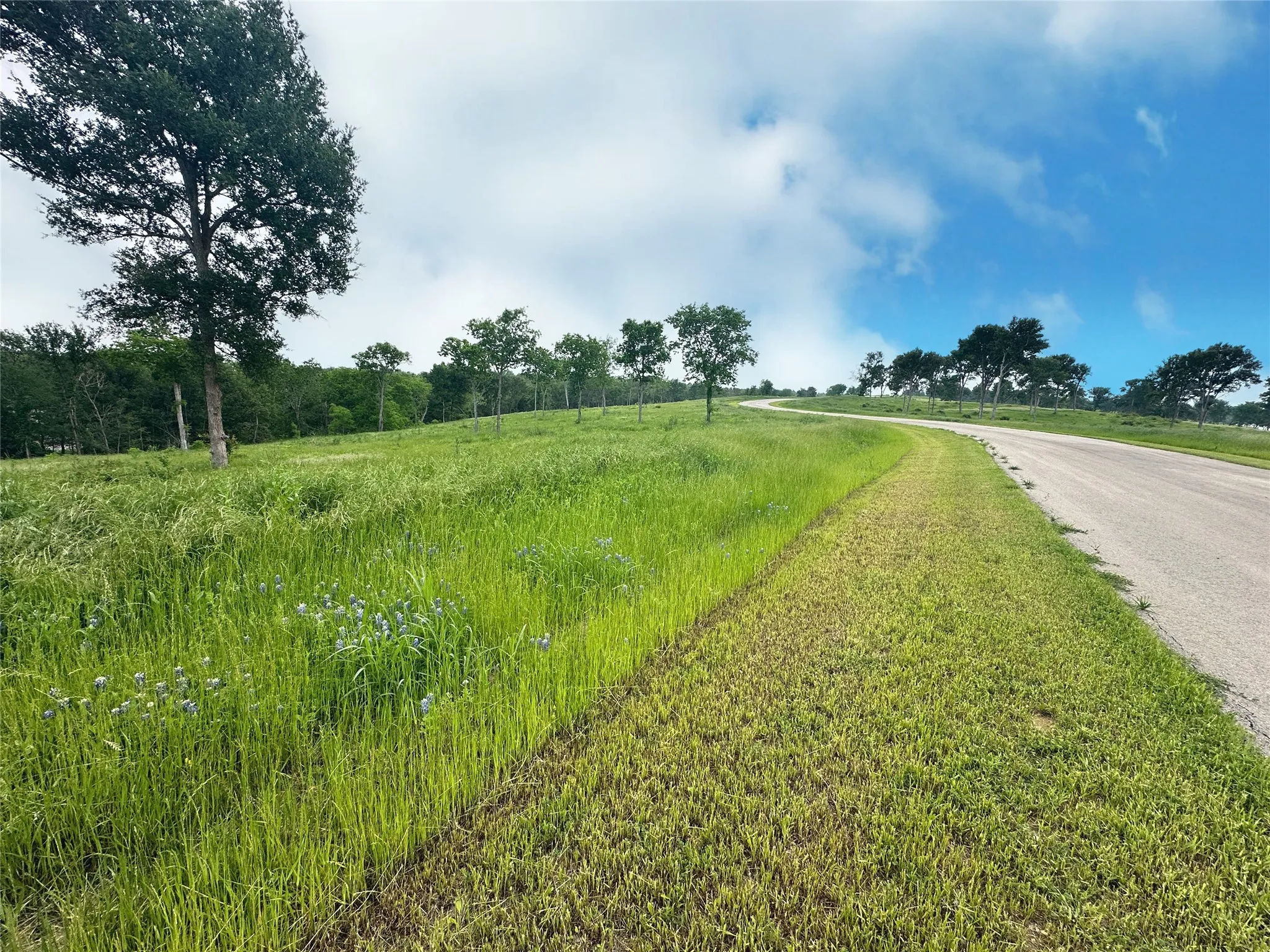Unimproved Land For Sale in Navarro County , Lot 81 & SLP#17 Shoreside Drive, Corsicana, Texas 75109, 0, 0, Garage spaces, 0 Sqft, built in 0, Price $109,500, mls#21199614, Real Estate Agent in Corsicana, Homes For Sale in Navarro county, Homes For Sale in Corsicana, Realtor in Corsicana Texas, Real Estate Brokerage Independent Realty Texas, Luminita Cordes Realtor