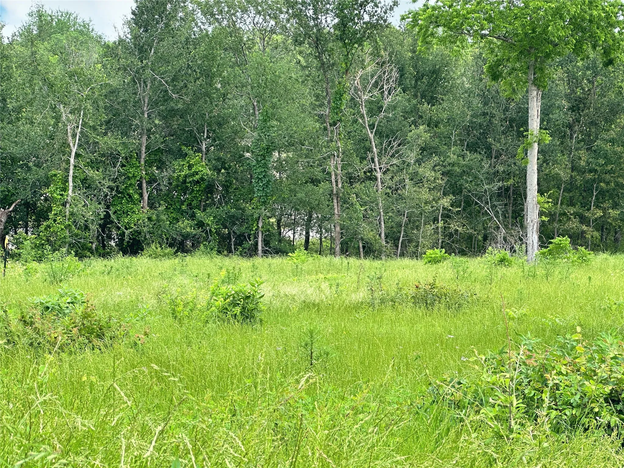 Unimproved Land For Sale in Navarro County , Lot 81 & SLP#17 Shoreside Drive, Corsicana, Texas 75109, 0, 0, Garage spaces, 0 Sqft, built in 0, Price $109,500, mls#21199614, Real Estate Agent in Corsicana, Homes For Sale in Navarro county, Homes For Sale in Corsicana, Realtor in Corsicana Texas, Real Estate Brokerage Independent Realty Texas, Luminita Cordes Realtor