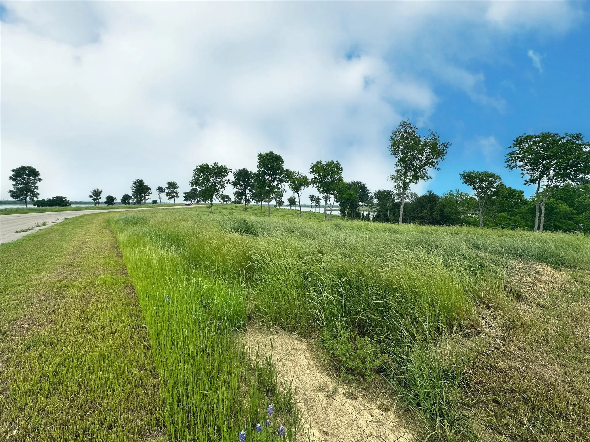 Unimproved Land For Sale in Navarro County , Lot 81 & SLP#17 Shoreside Drive, Corsicana, Texas 75109, 0, 0, Garage spaces, 0 Sqft, built in 0, Price $109,500, mls#21199614, Real Estate Agent in Corsicana, Homes For Sale in Navarro county, Homes For Sale in Corsicana, Realtor in Corsicana Texas, Real Estate Brokerage Independent Realty Texas, Luminita Cordes Realtor