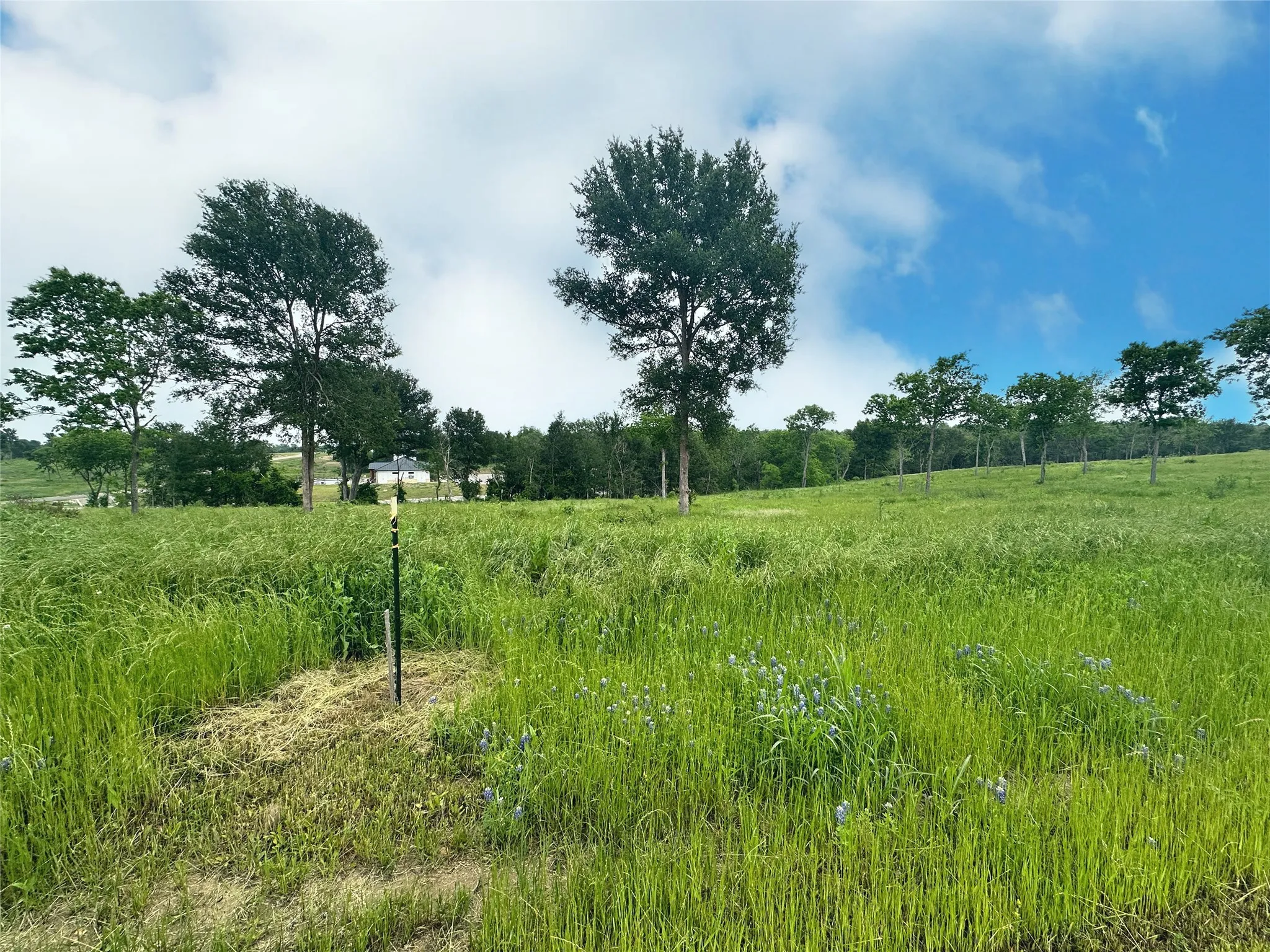 Unimproved Land For Sale in Navarro County , Lot 81 & SLP#17 Shoreside Drive, Corsicana, Texas 75109, 0, 0, Garage spaces, 0 Sqft, built in 0, Price $109,500, mls#21199614, Real Estate Agent in Corsicana, Homes For Sale in Navarro county, Homes For Sale in Corsicana, Realtor in Corsicana Texas, Real Estate Brokerage Independent Realty Texas, Luminita Cordes Realtor