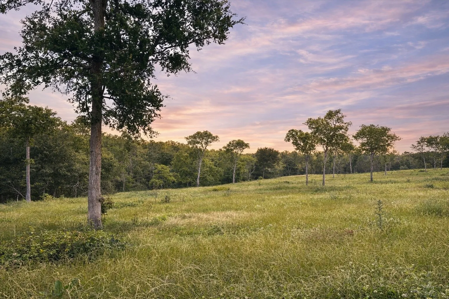 Unimproved Land For Sale in Navarro County , Lot 81 & SLP#17 Shoreside Drive, Corsicana, Texas 75109, 0, 0, Garage spaces, 0 Sqft, built in 0, Price $109,500, mls#21199614, Real Estate Agent in Corsicana, Homes For Sale in Navarro county, Homes For Sale in Corsicana, Realtor in Corsicana Texas, Real Estate Brokerage Independent Realty Texas, Luminita Cordes Realtor
